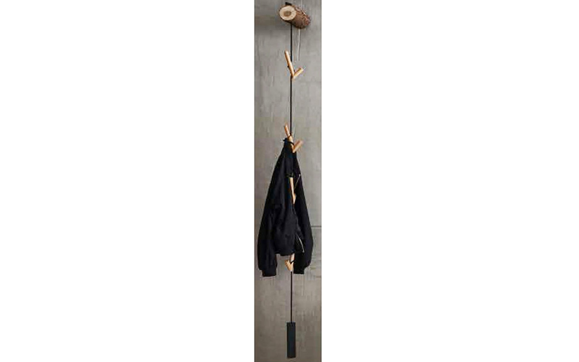 13410044 - Image