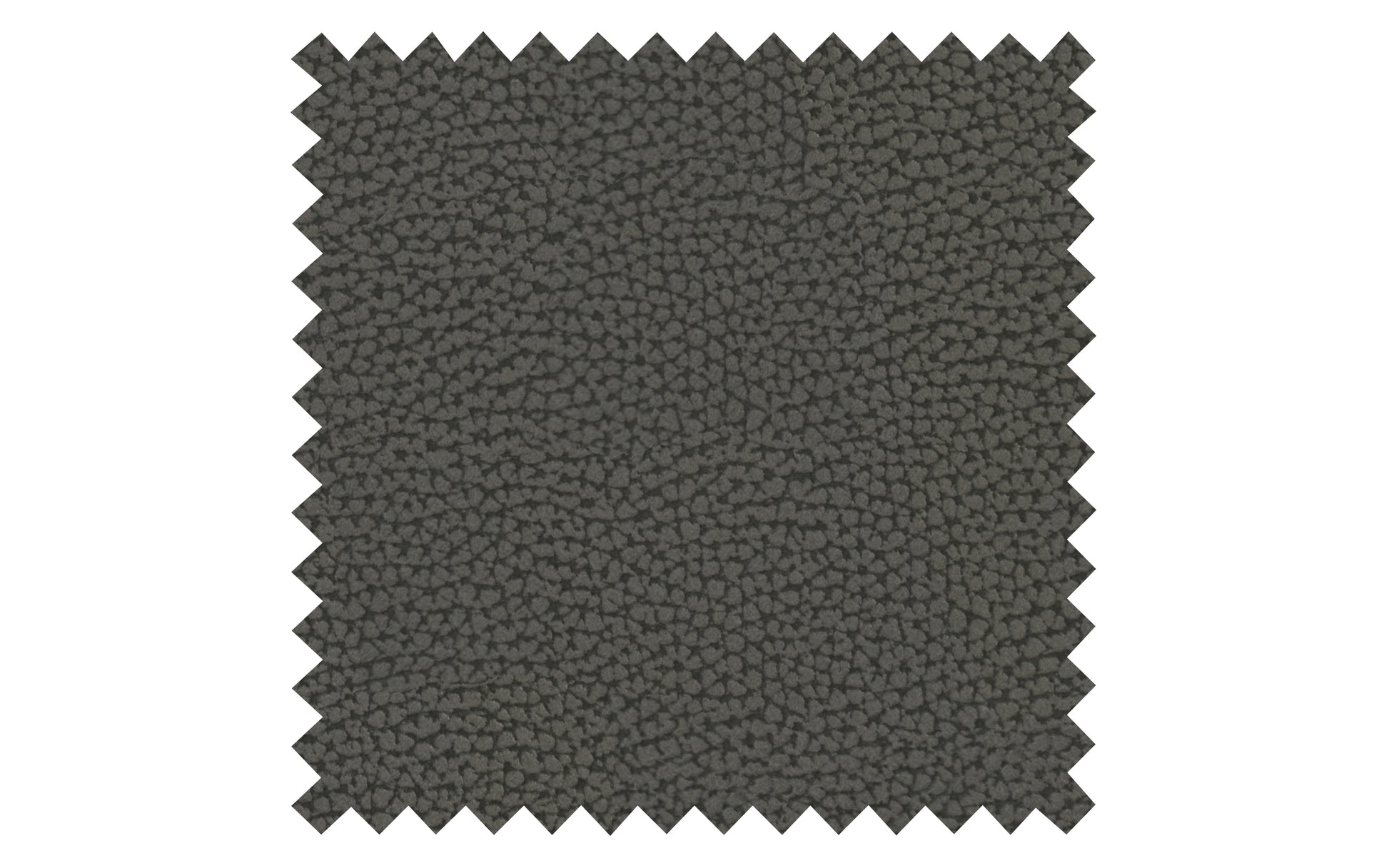 14650127 01 - Image