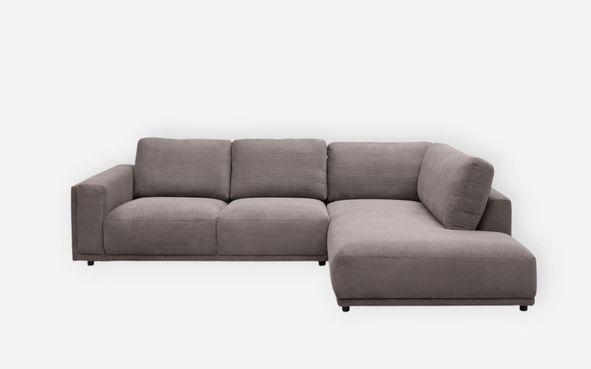 15460024 01 - Image