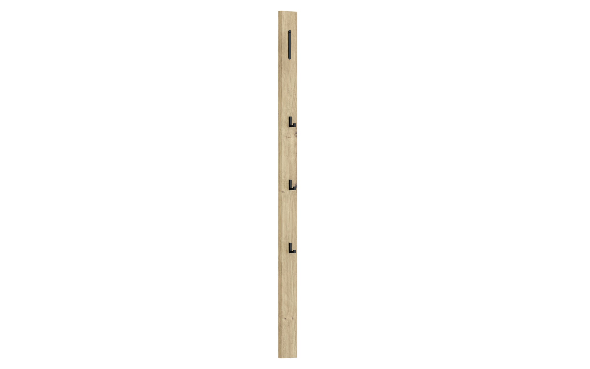 16450005 04 - Image