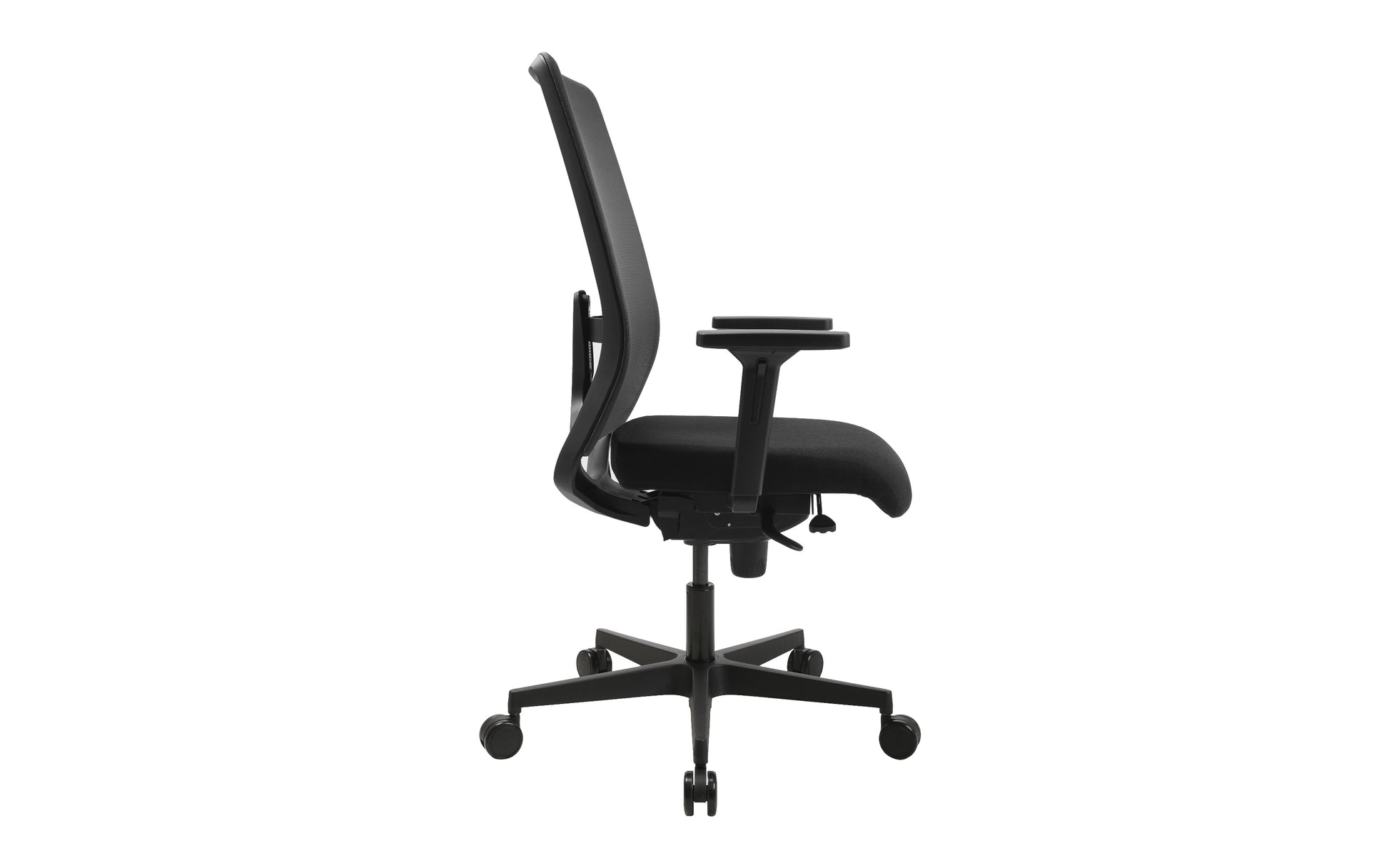 16780005 - Image