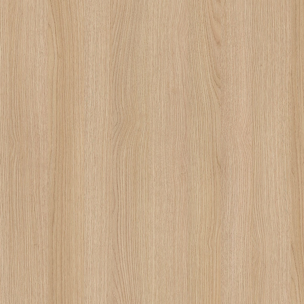 19210059 21 - Image