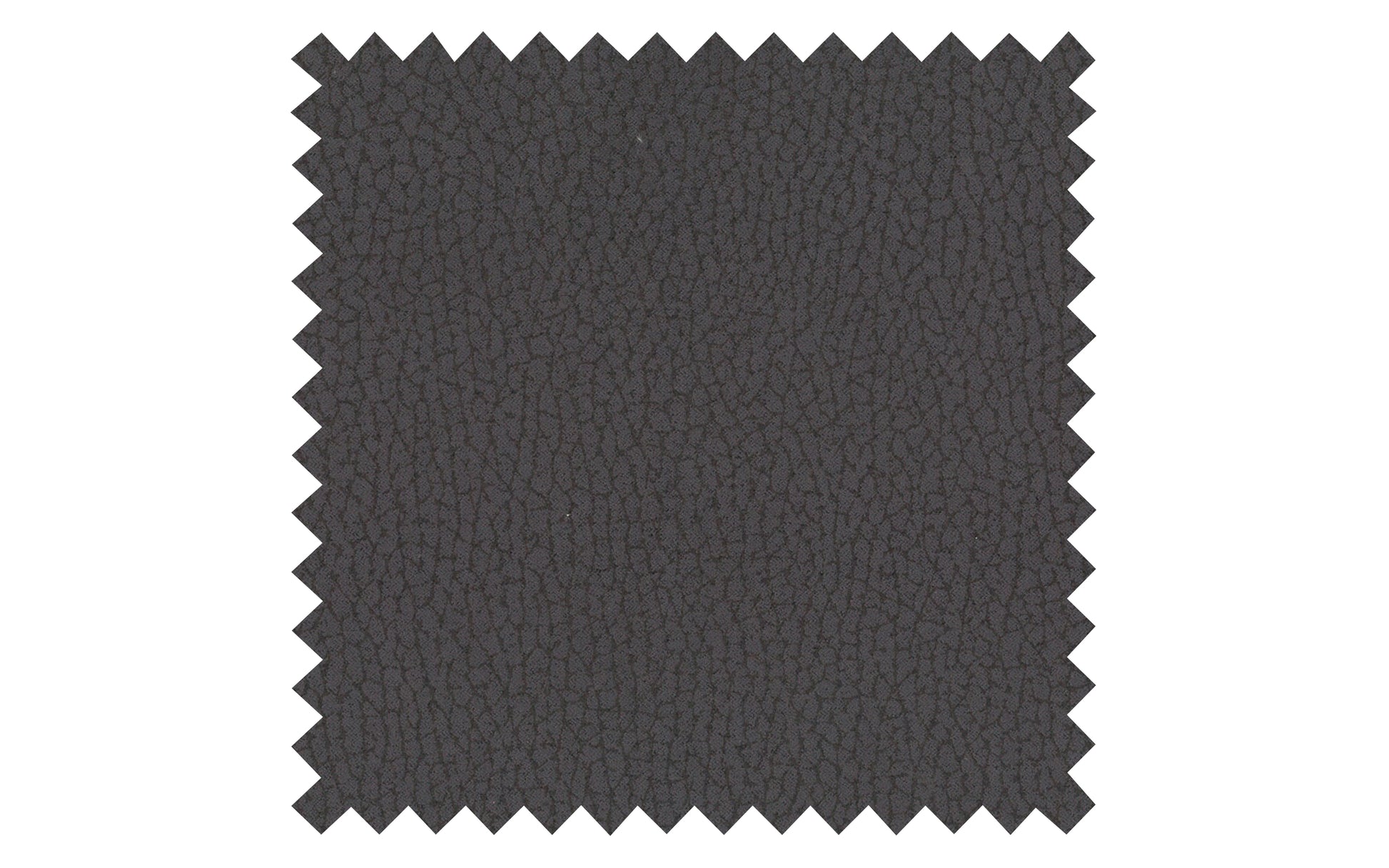 19430016 22 - Image