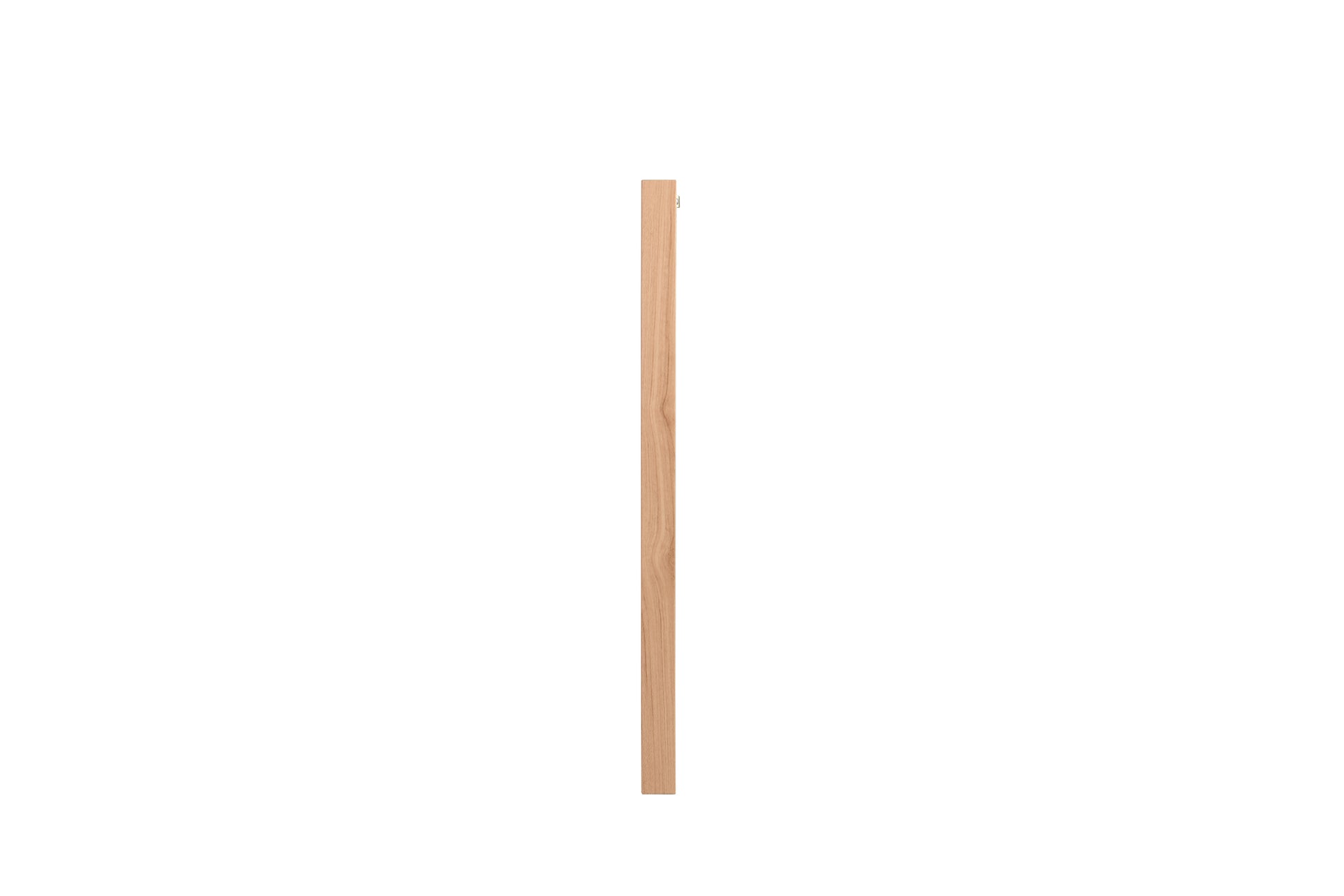 19790080 01 - Image