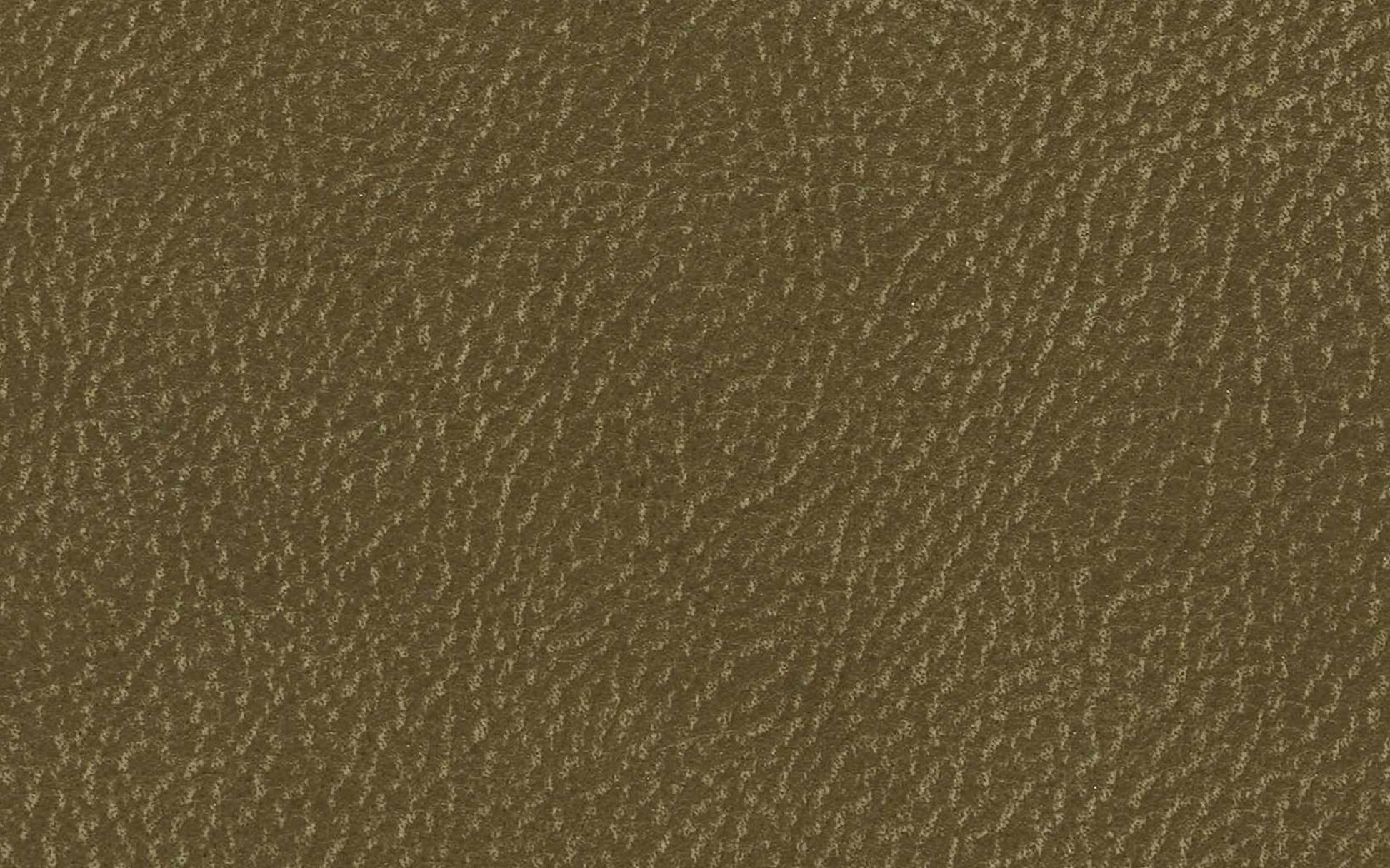 24060100 03 - Image