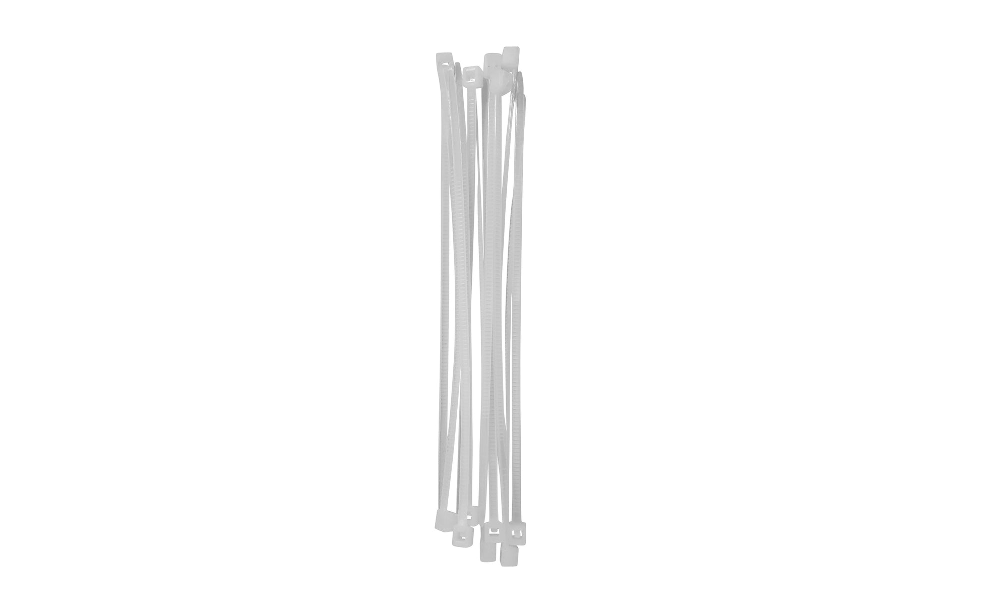40081839 03 - Image