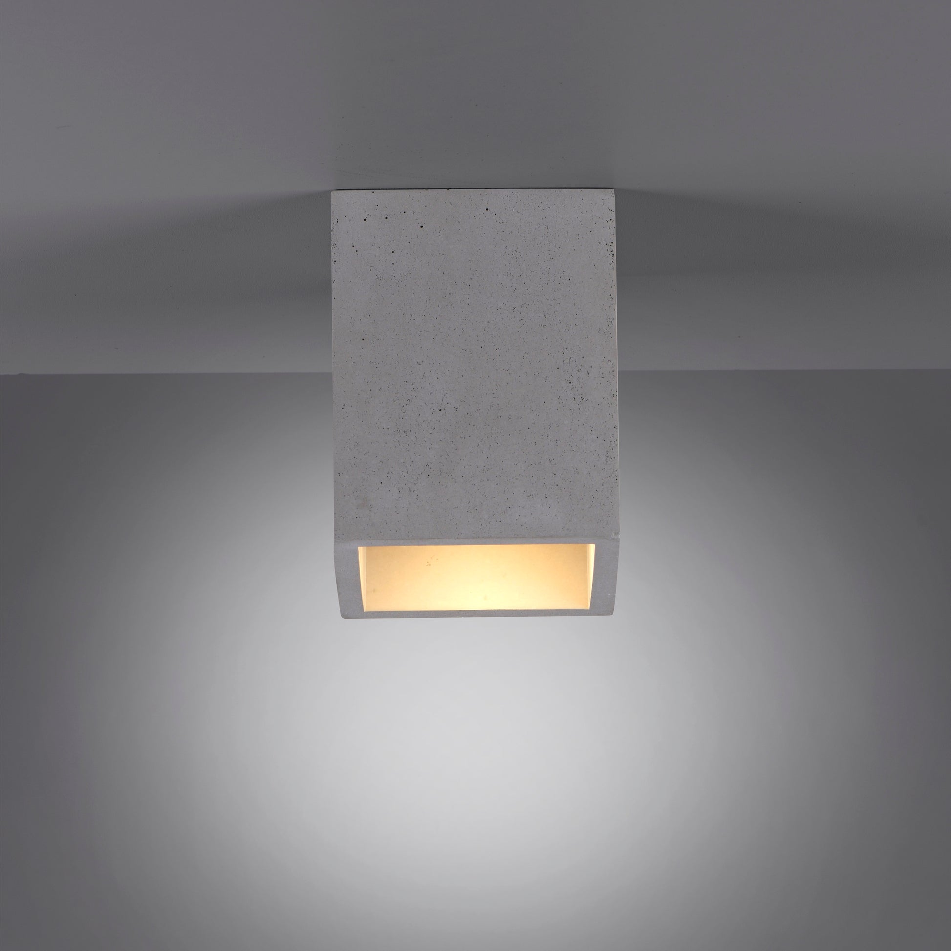 40110731 01 - Image