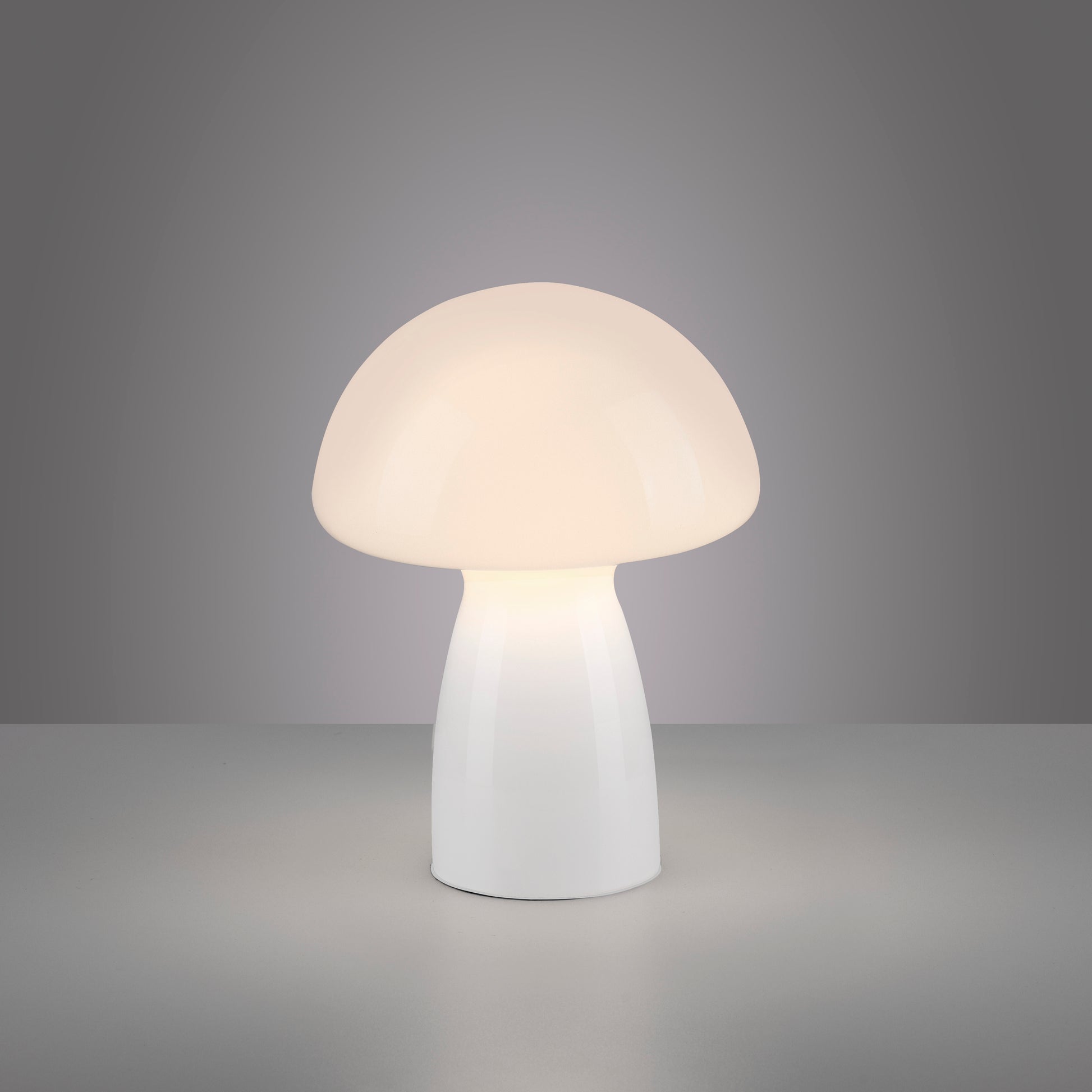 40110790 01 - Image