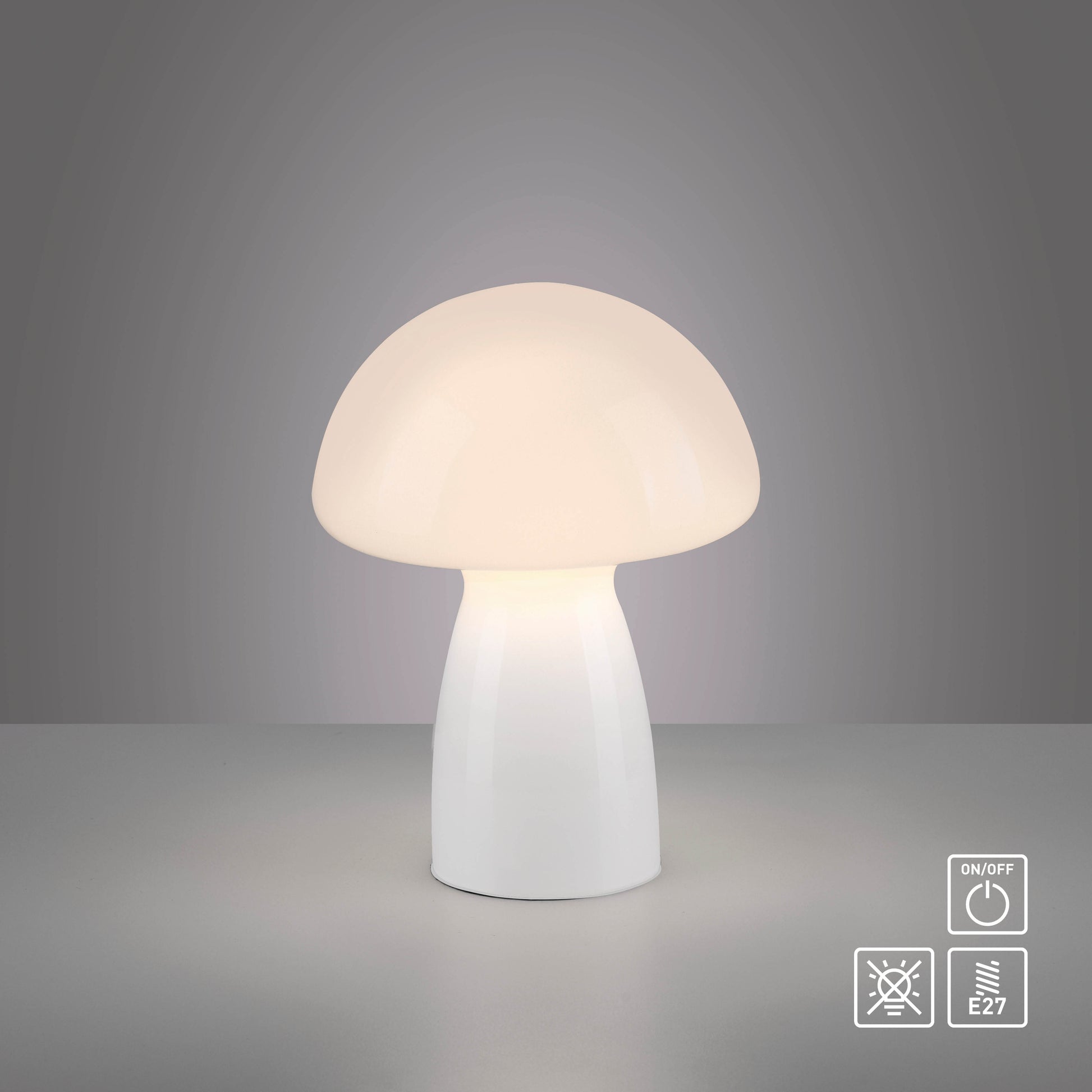 40110790 01 - Image
