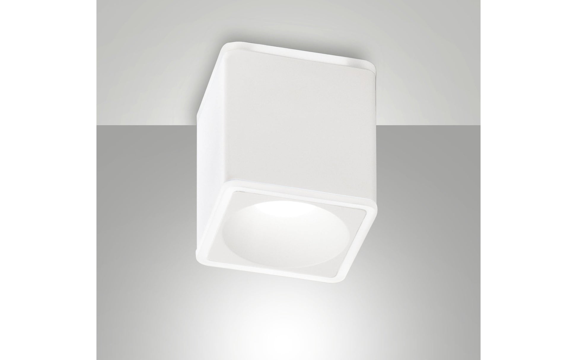 40510229 01 - Image