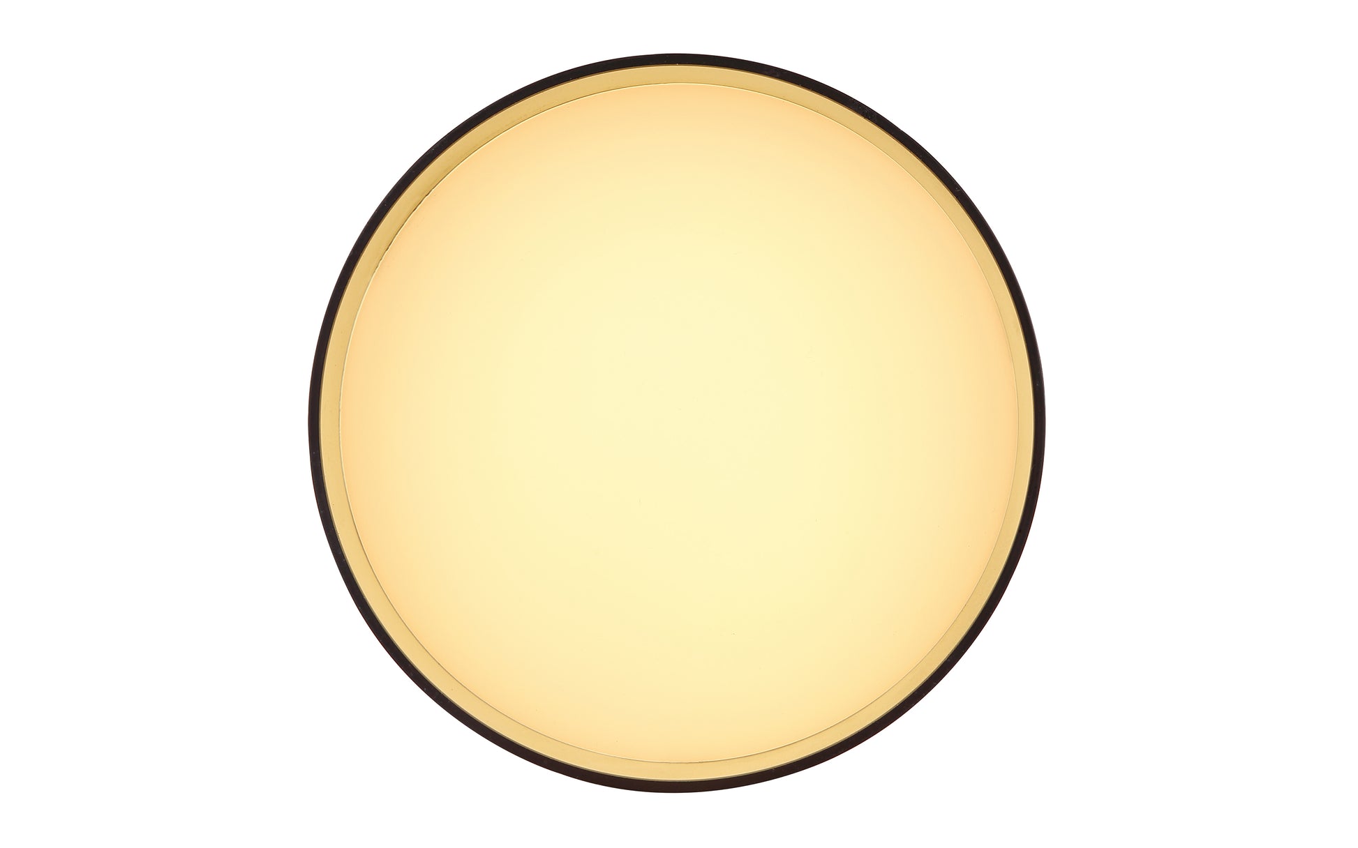 40540400 01 - Image