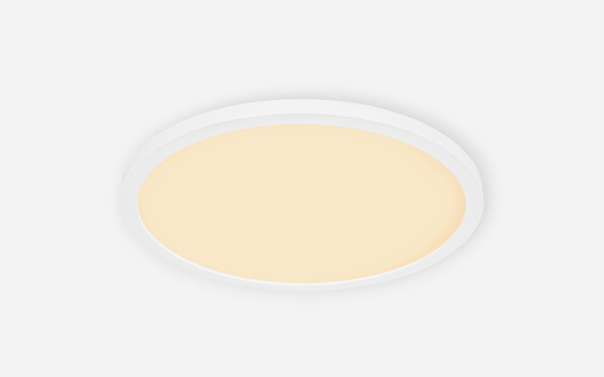 40540450 01 - Image