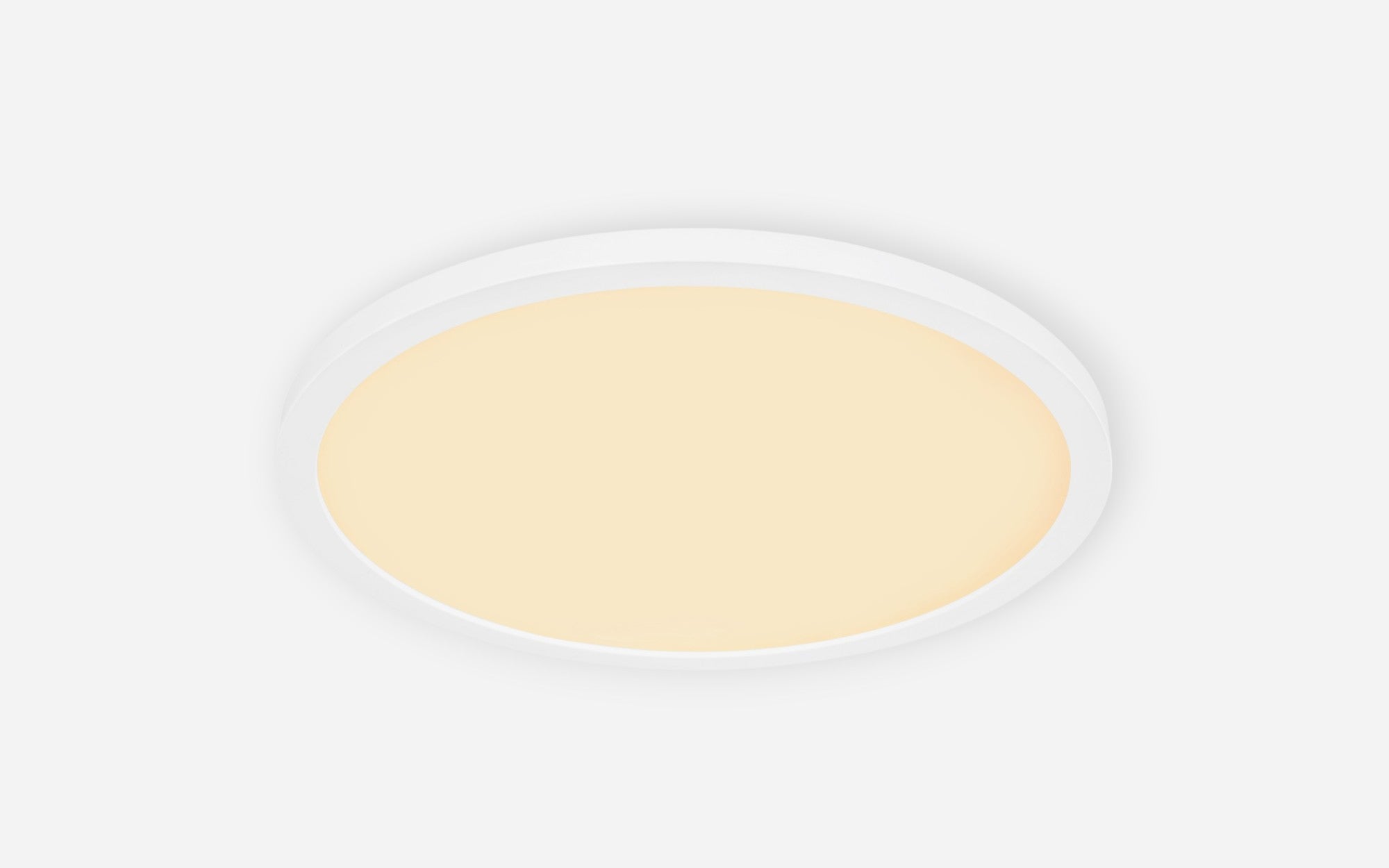 40540450 01 - Image