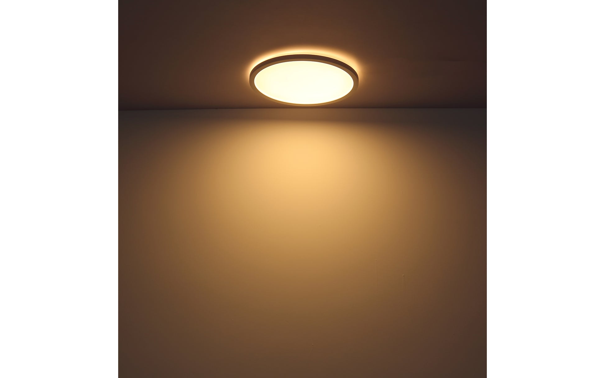 40540450 01 - Image