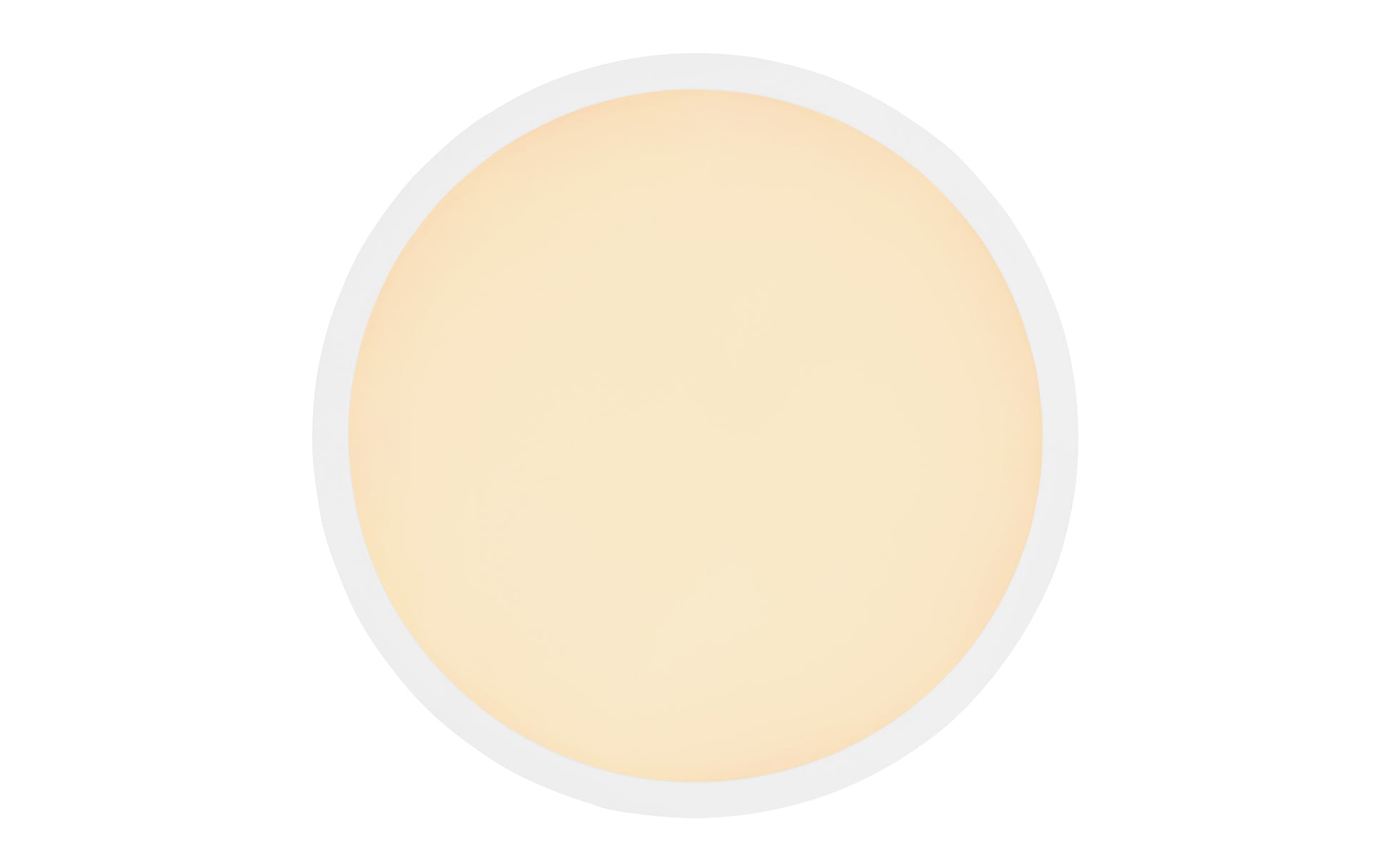 40540450 01 - Image