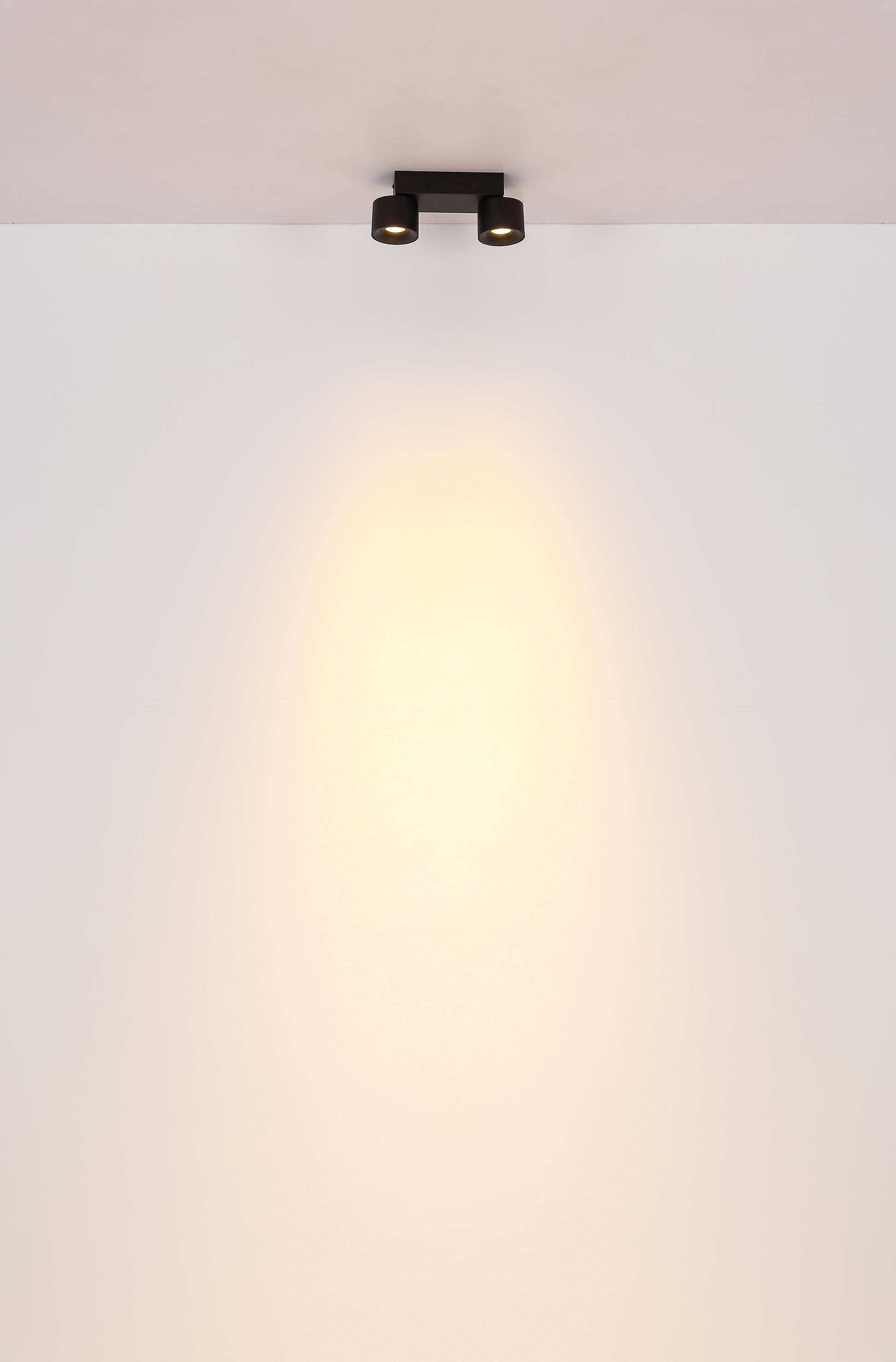 40540503 01 - Image