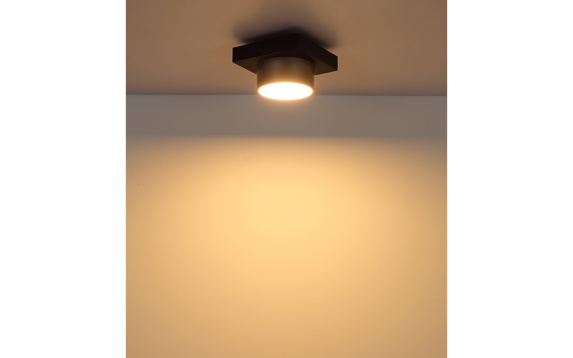 40540504 01 - Image