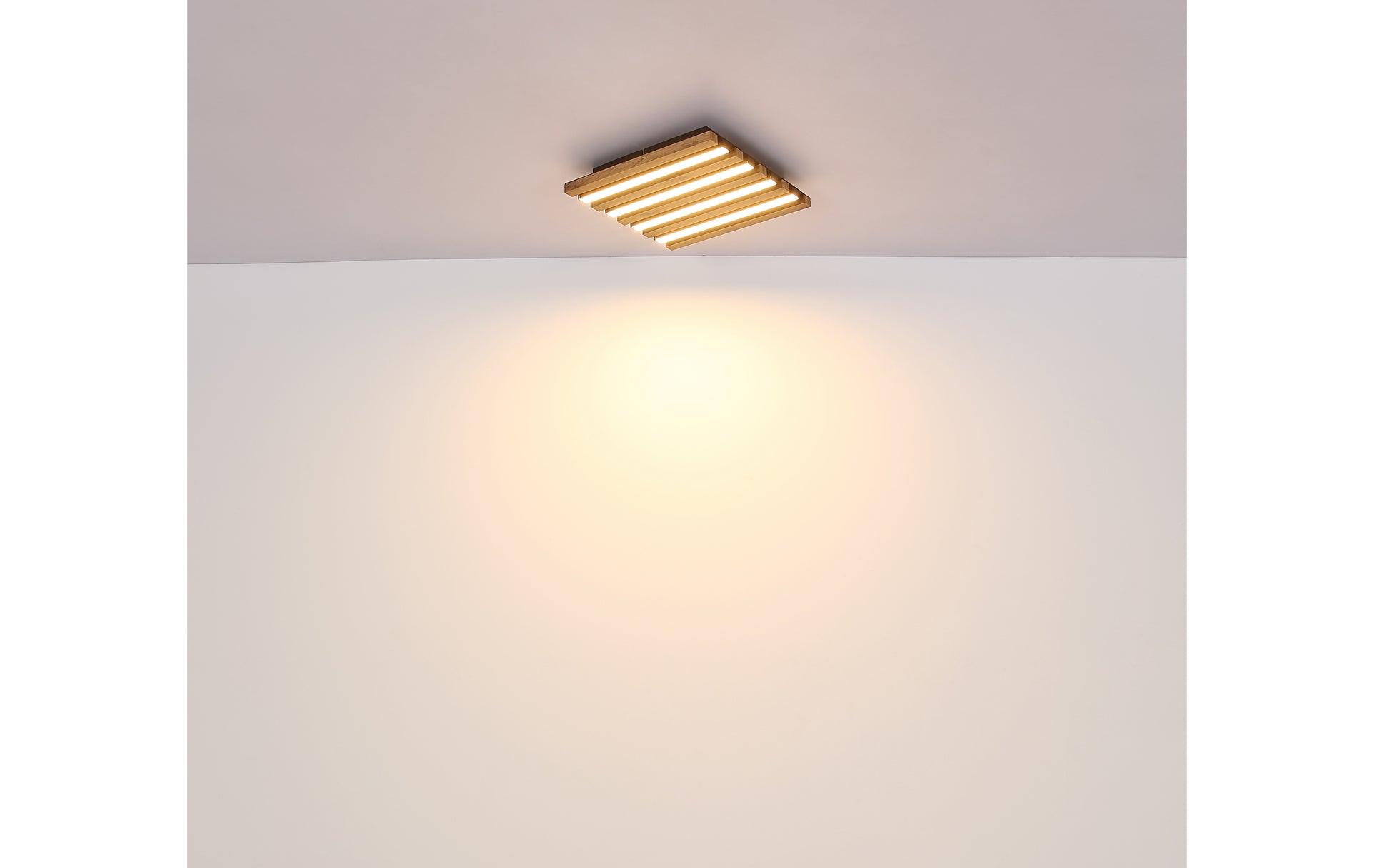 40540516 01 - Image