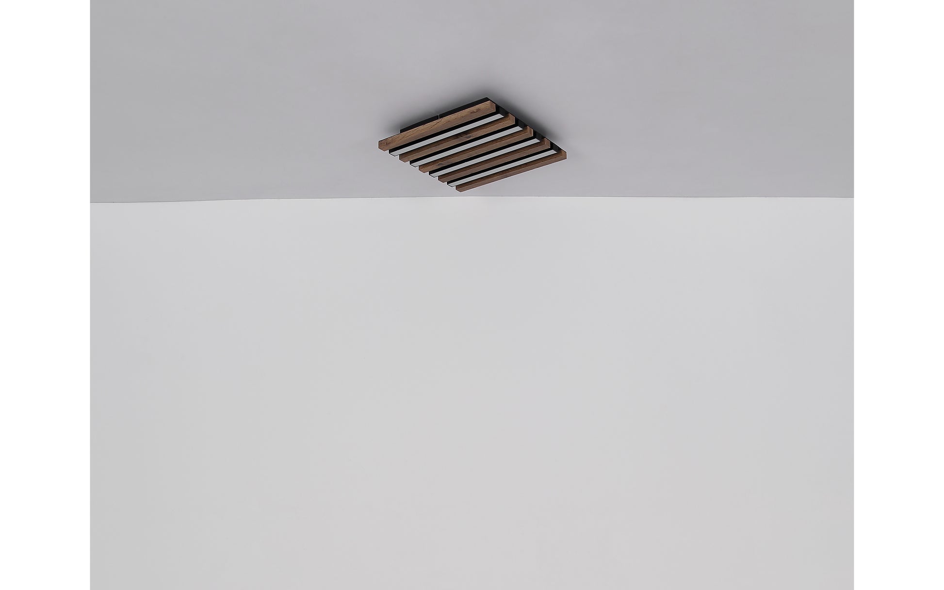 40540516 01 - Image