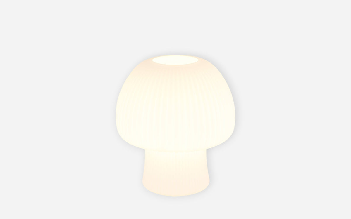 40540541 01 - Image