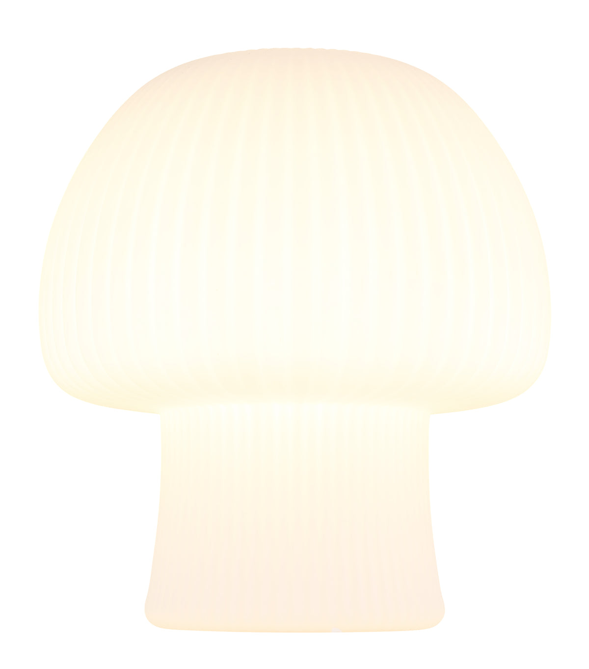 40540541 01 - Image