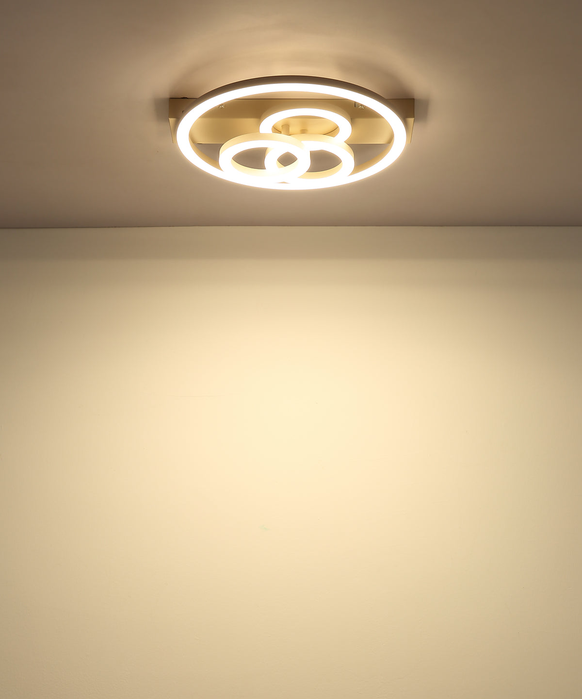 40540542 01 - Image