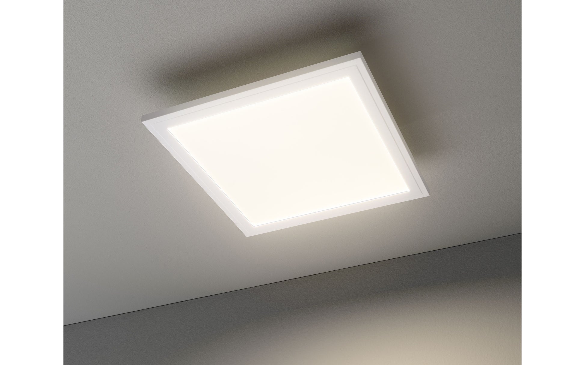 40550109 03 - Image