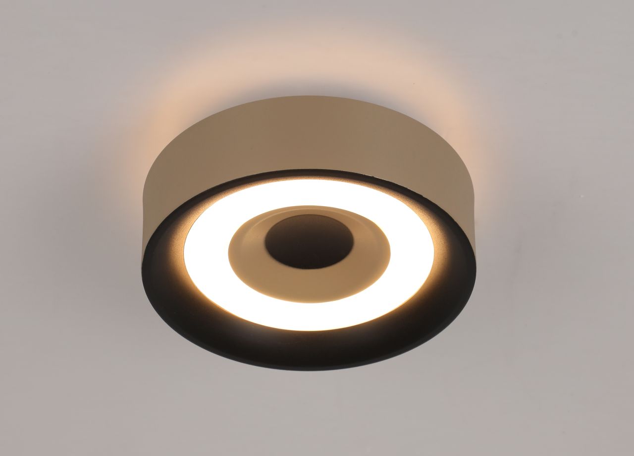 40690130 02 - Image