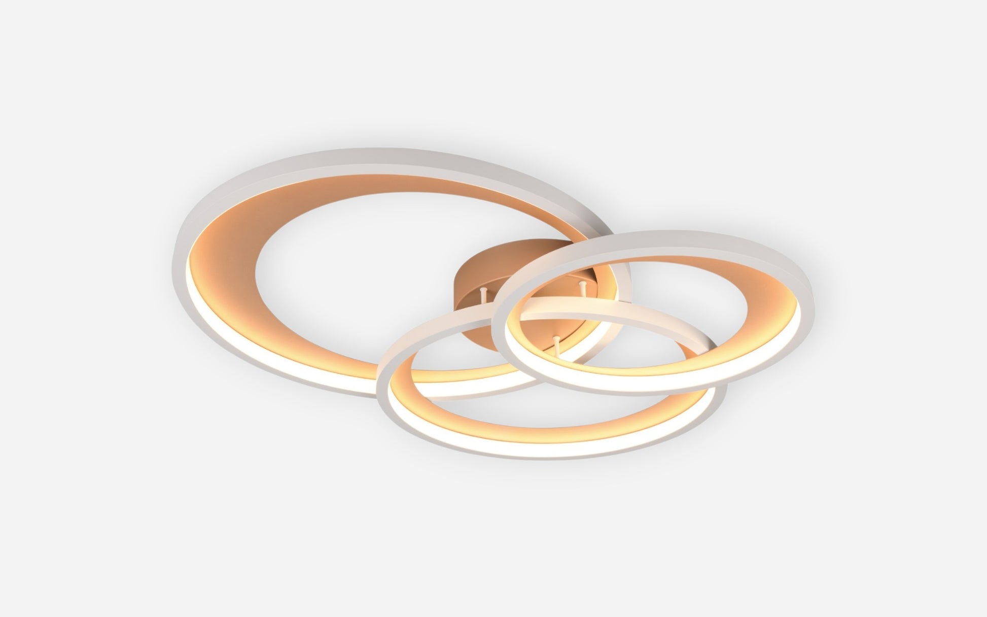 41101009 05 - Image