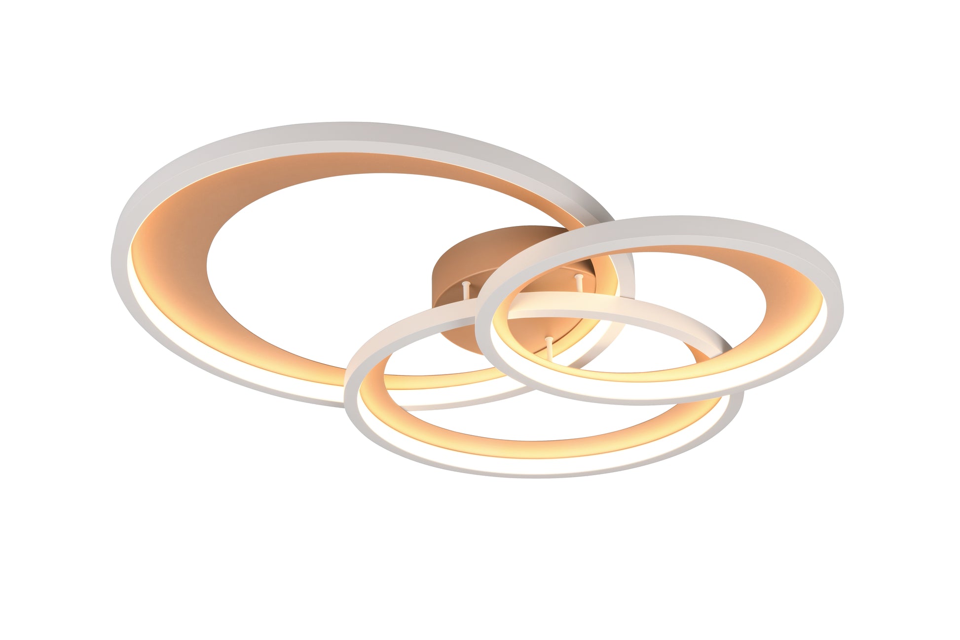 41101009 05 - Image