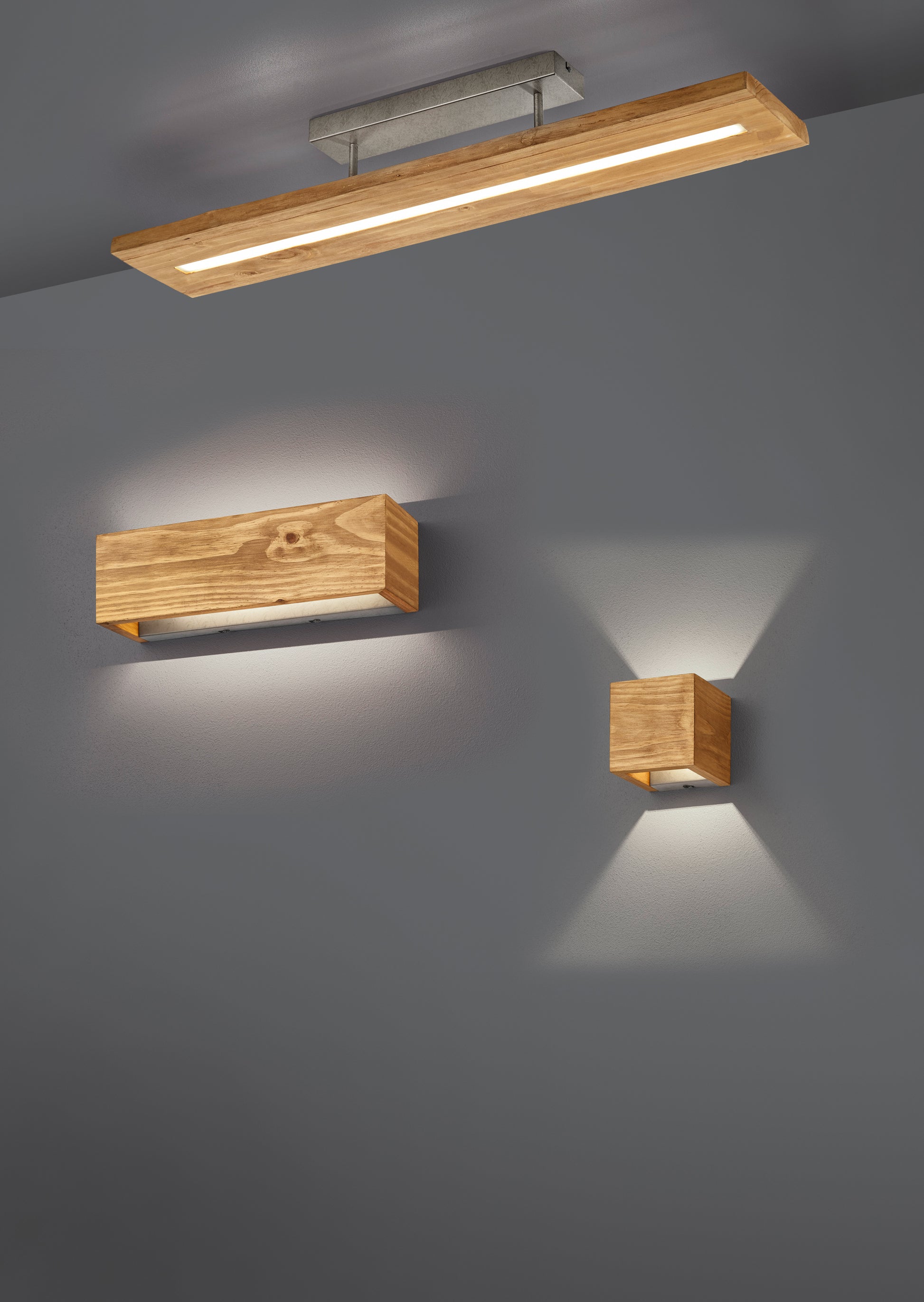 41101017 01 - Image