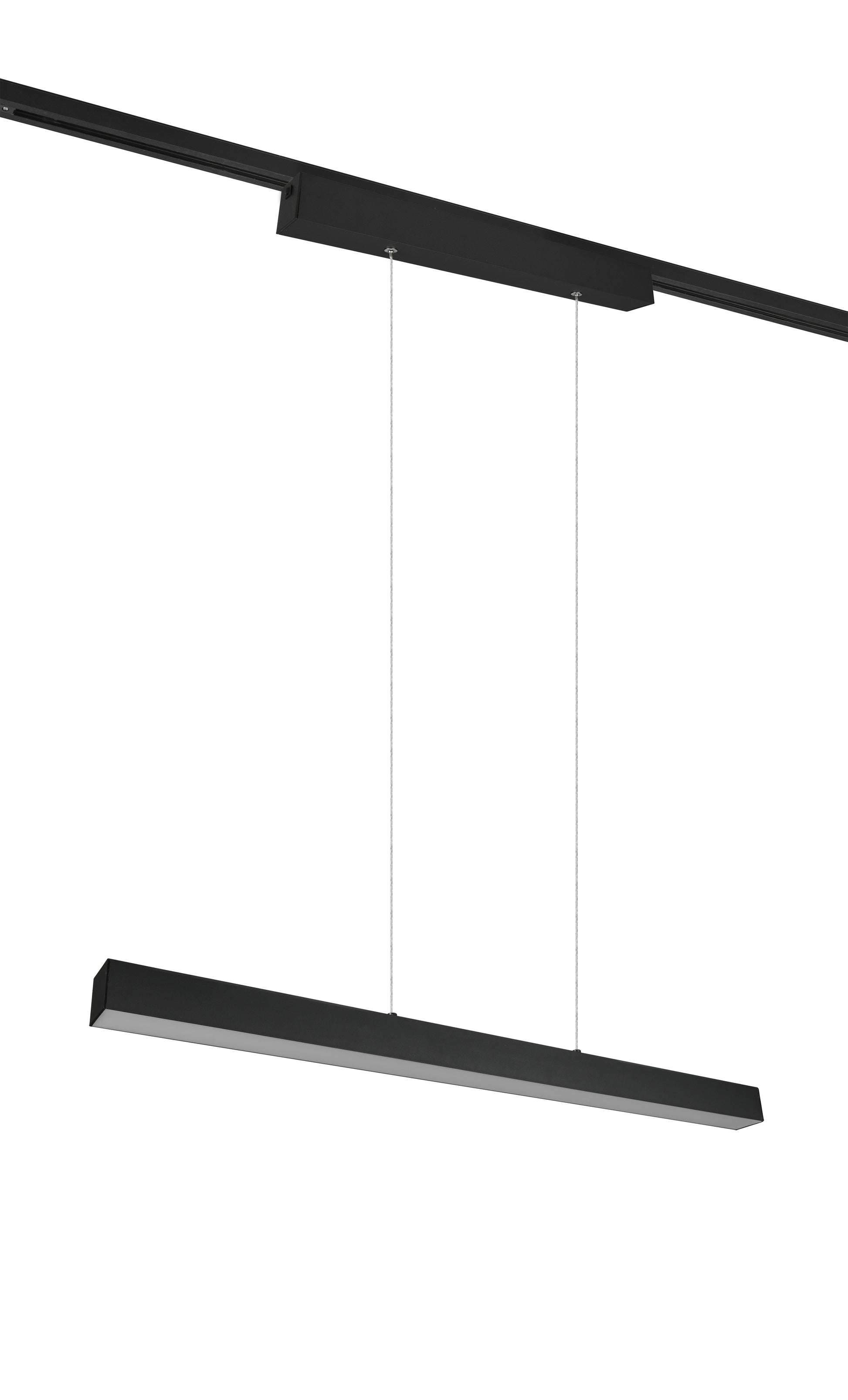 41101044 81 - Image