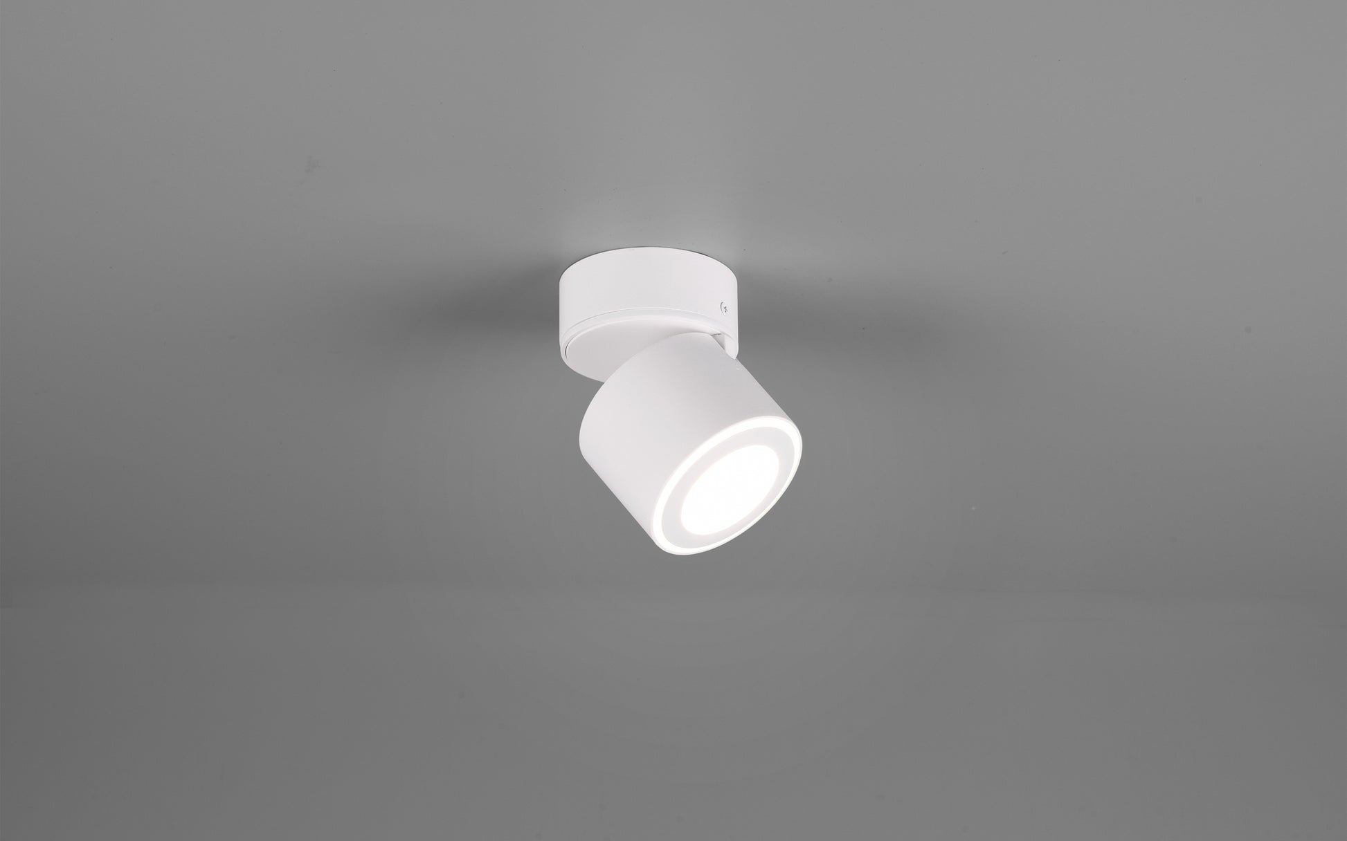 41101069 01 - Image
