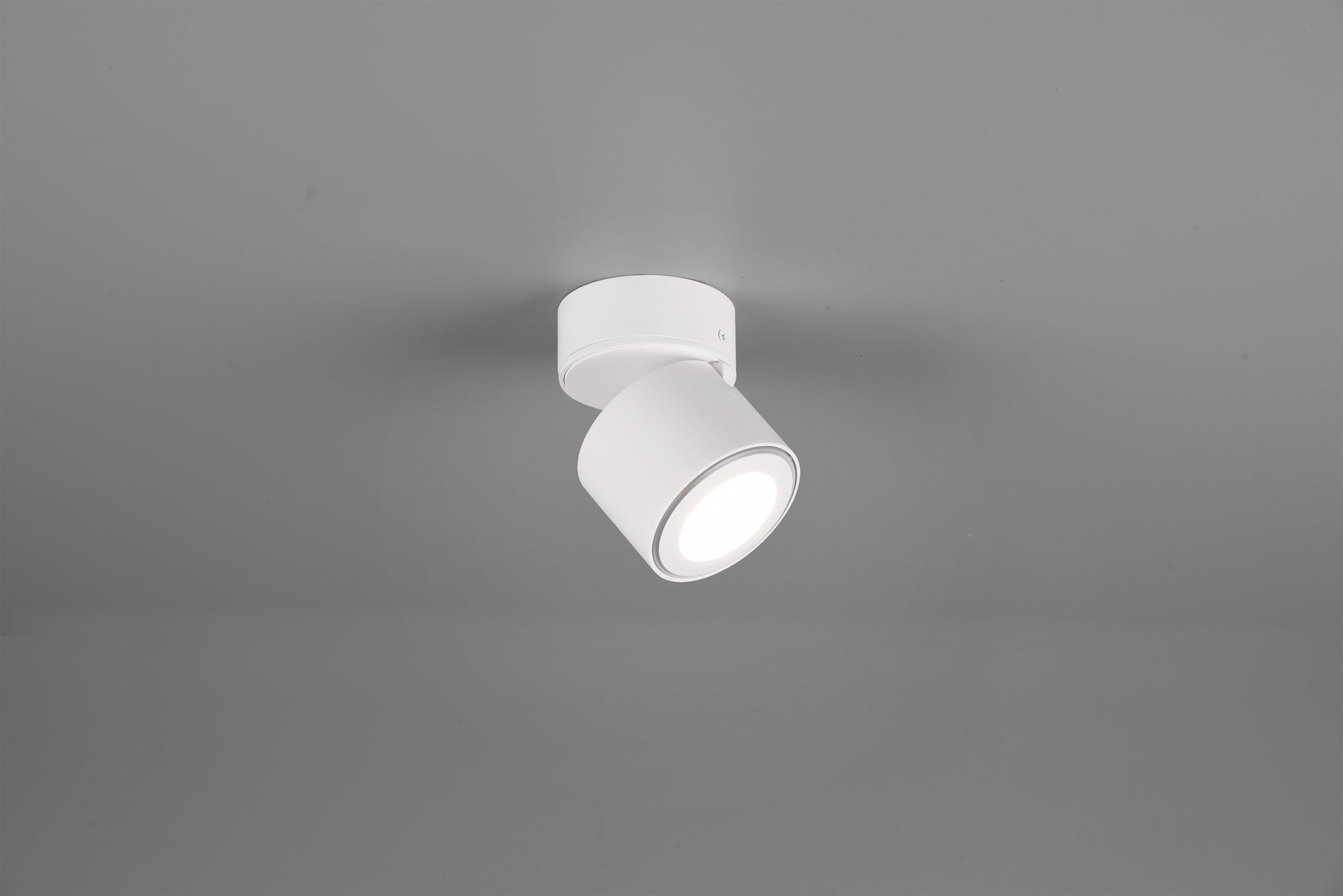 41101069 01 - Image