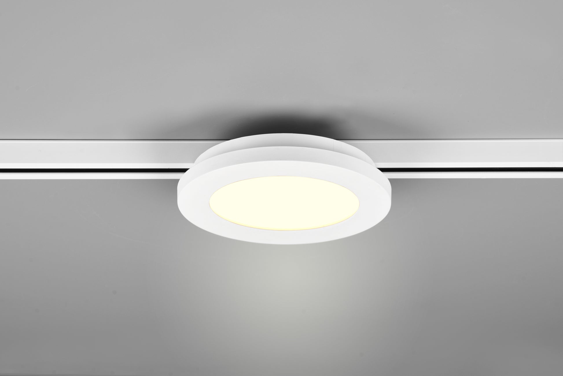 41101098 06 - Image