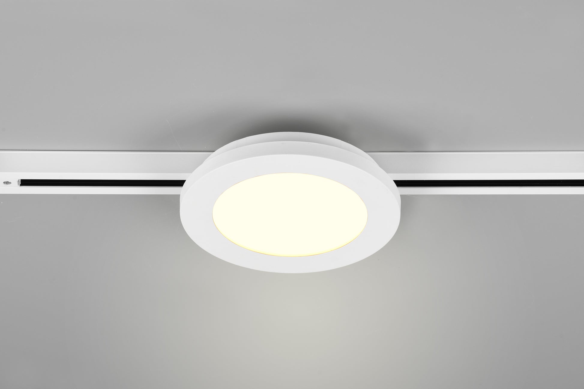 41101098 06 - Image
