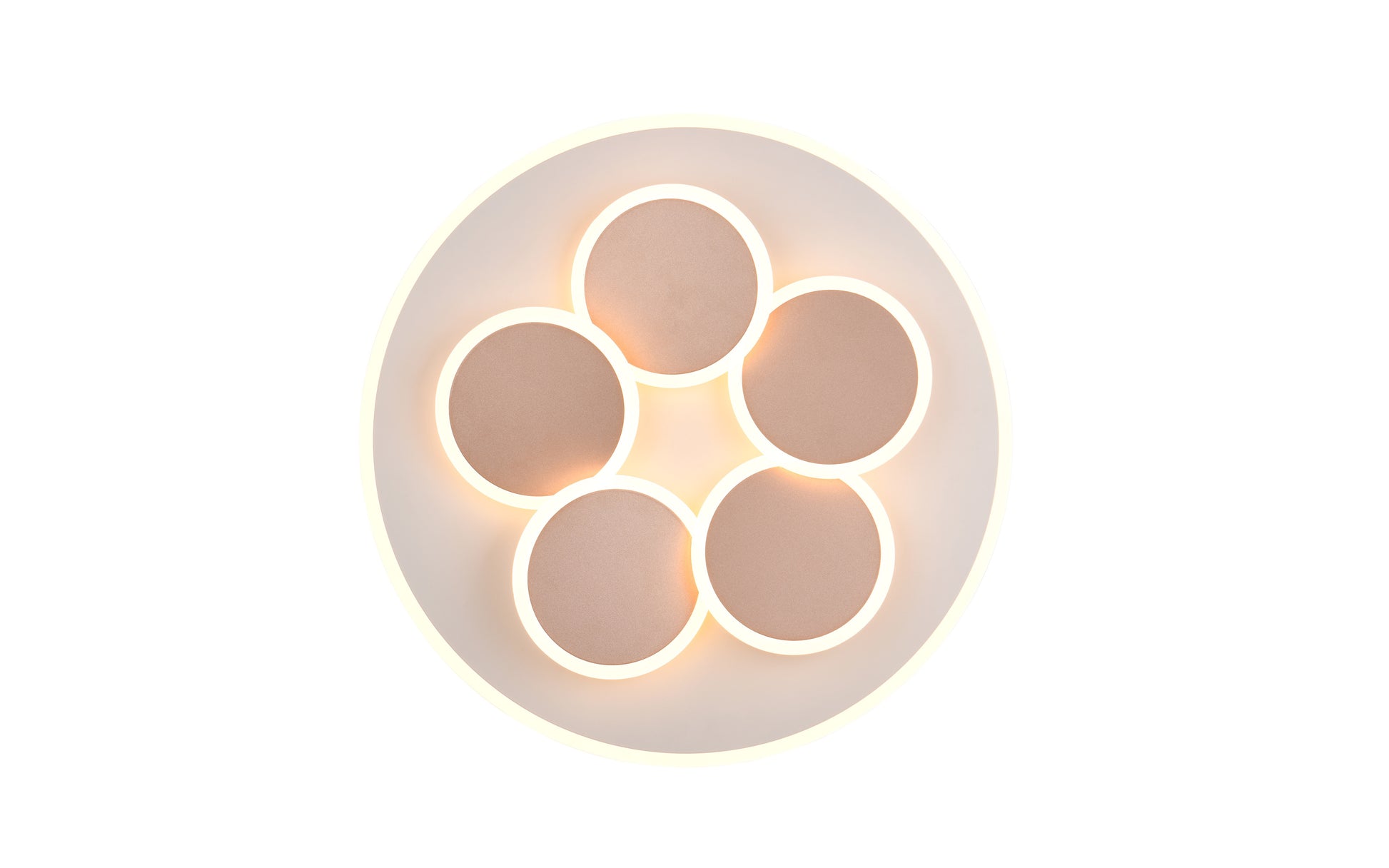 41101107 02 - Image