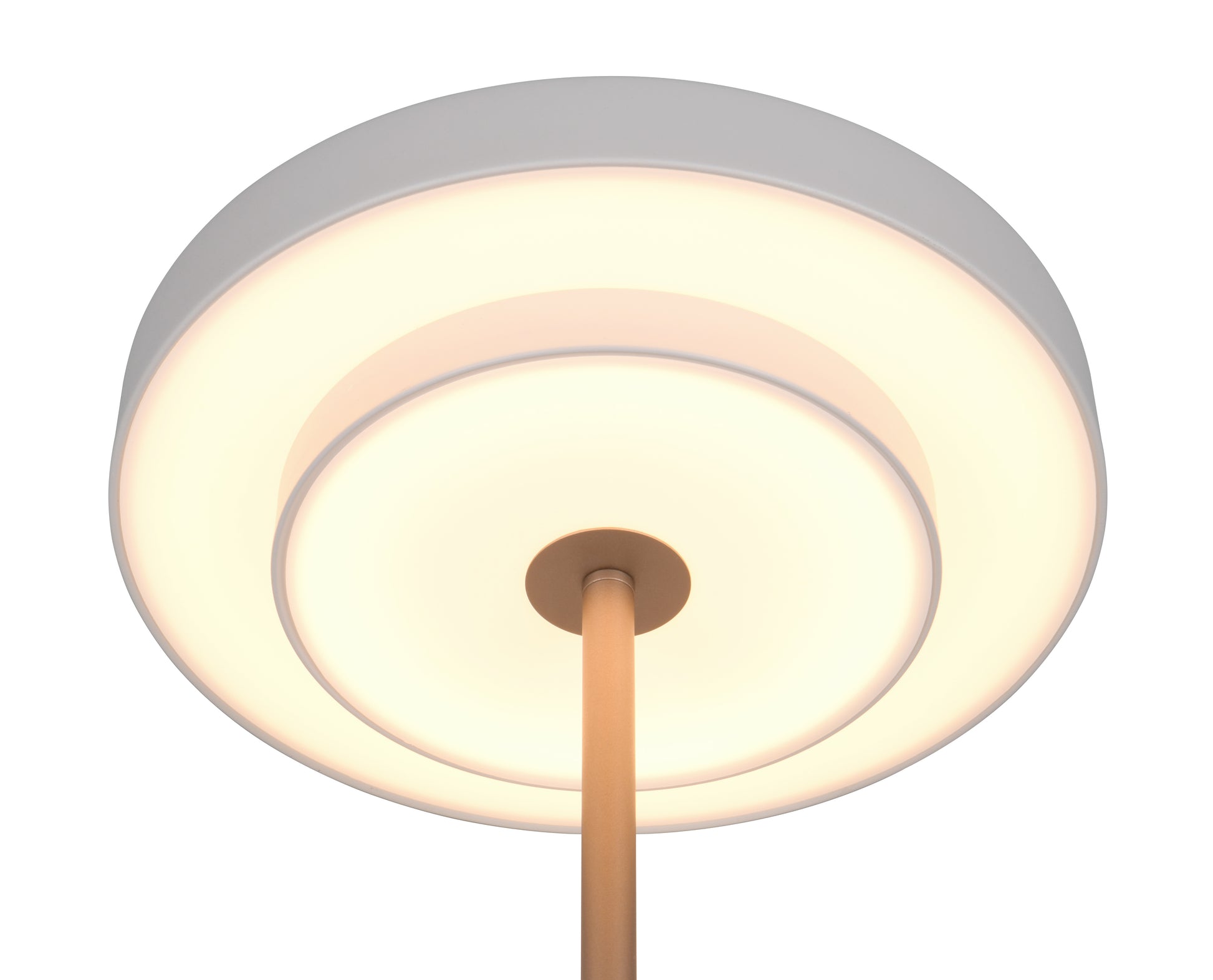 41101133 04 - Image