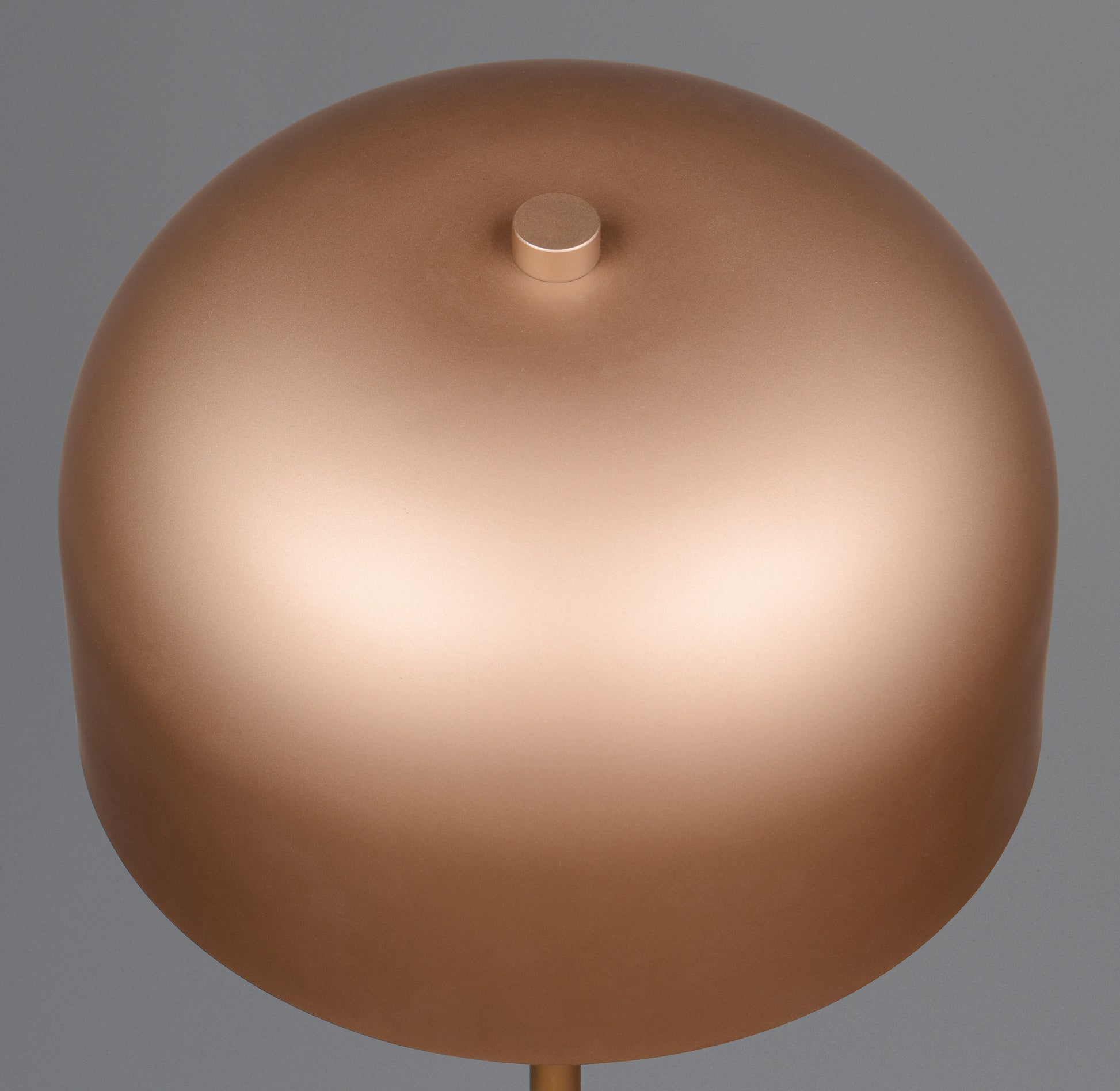 41700506 13 - Image