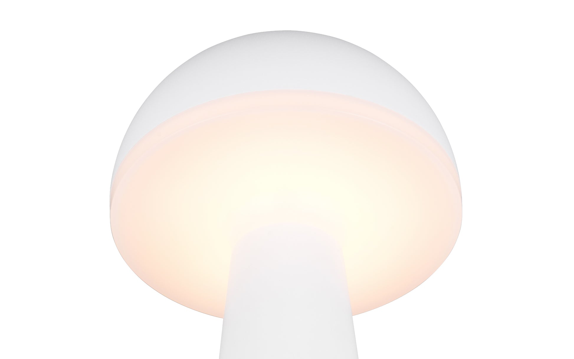 41700507 01 - Image