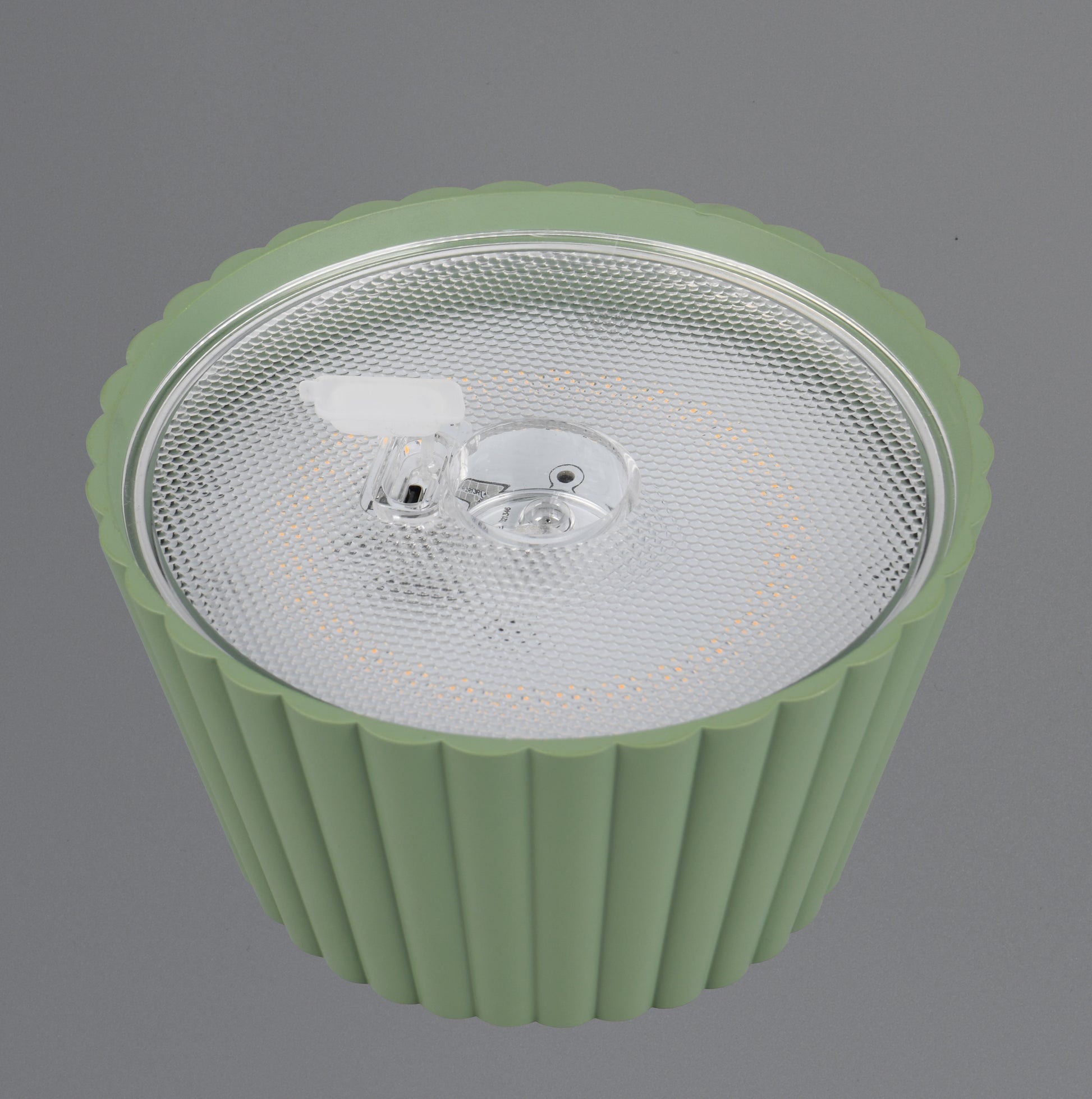41700508 04 - Image