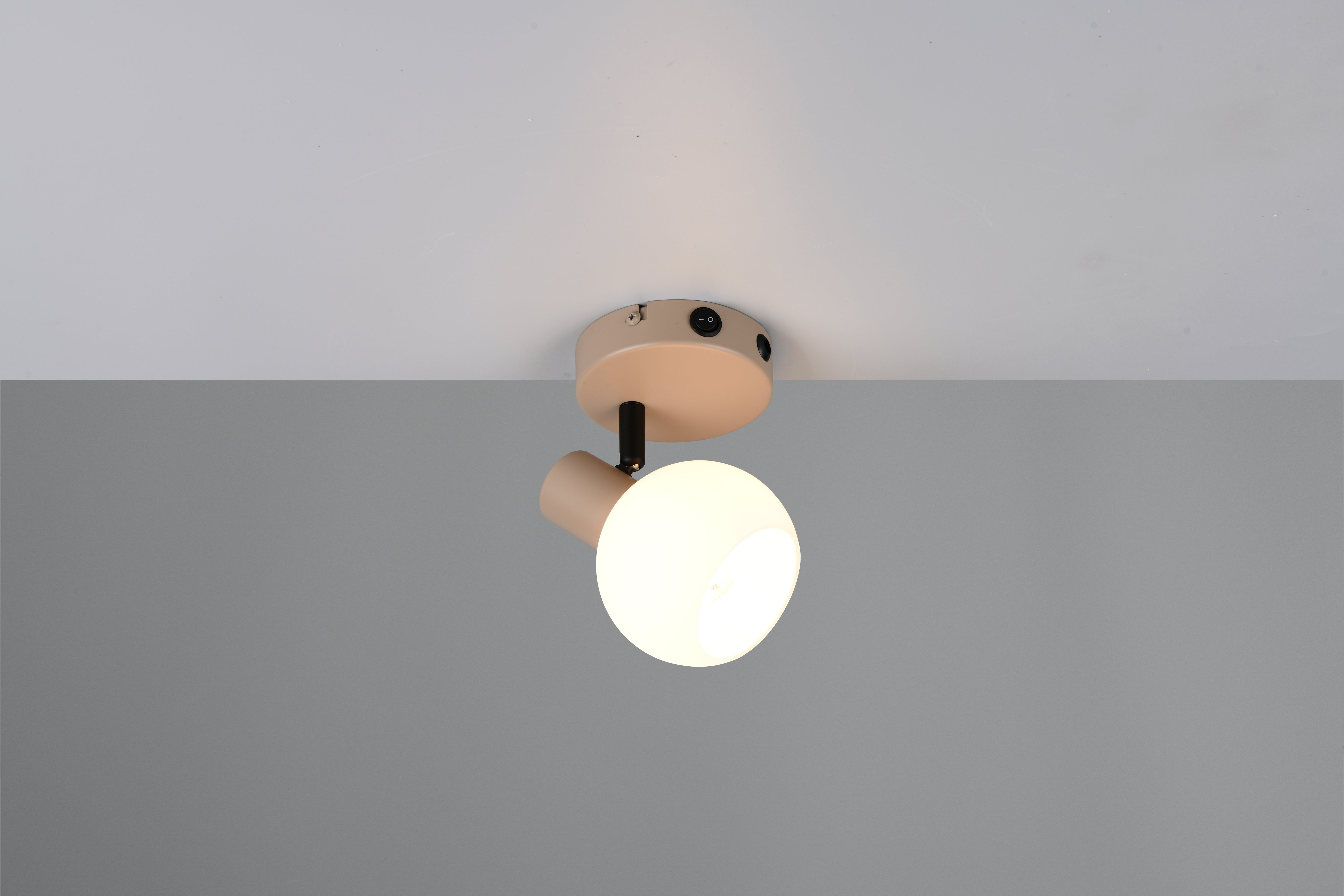 41700527 01 - Image