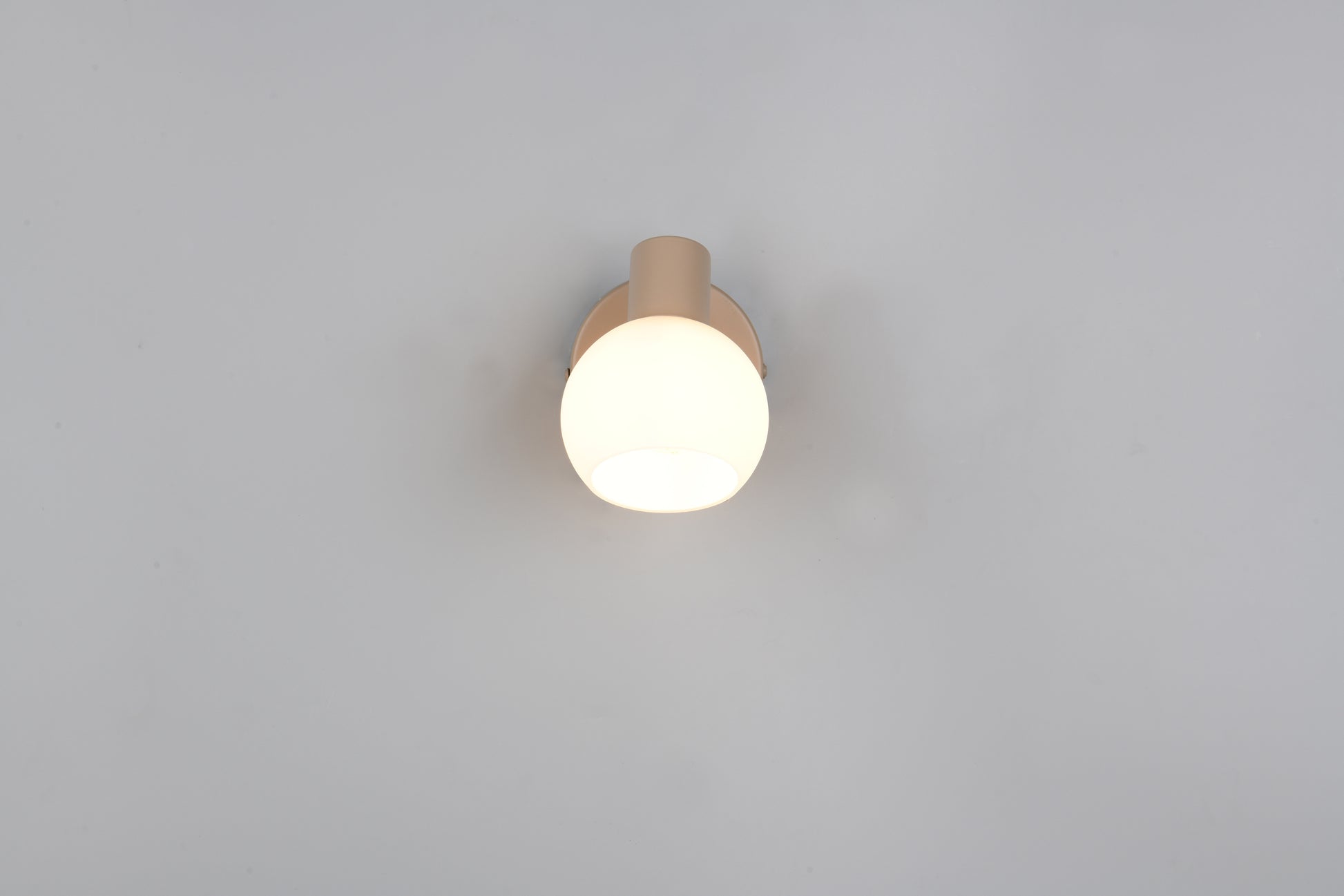 41700527 01 - Image