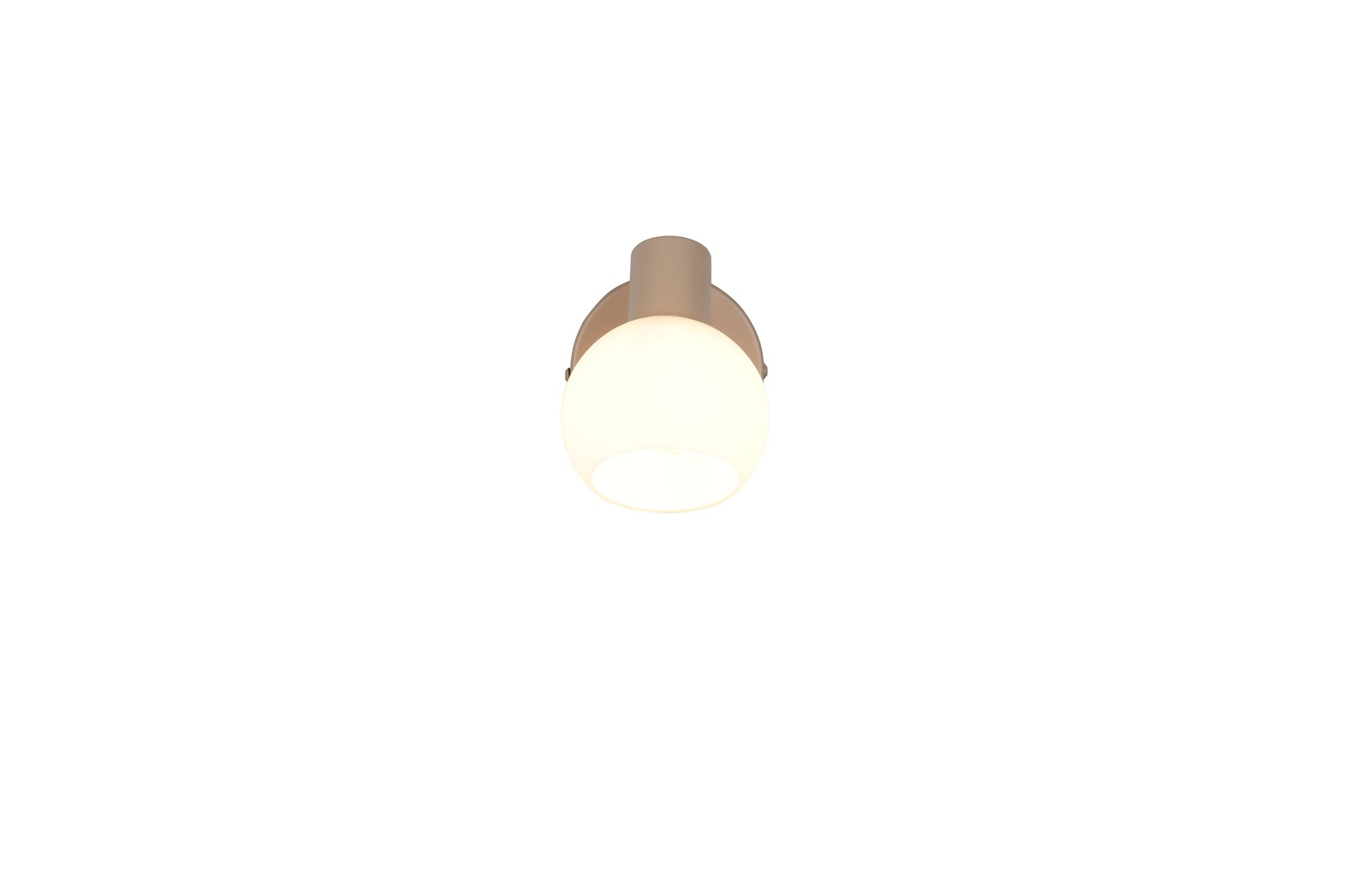 41700527 01 - Image