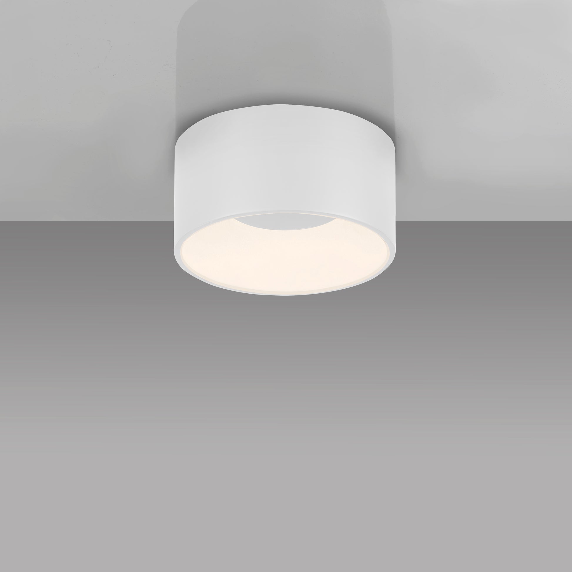 41750561 01 - Image