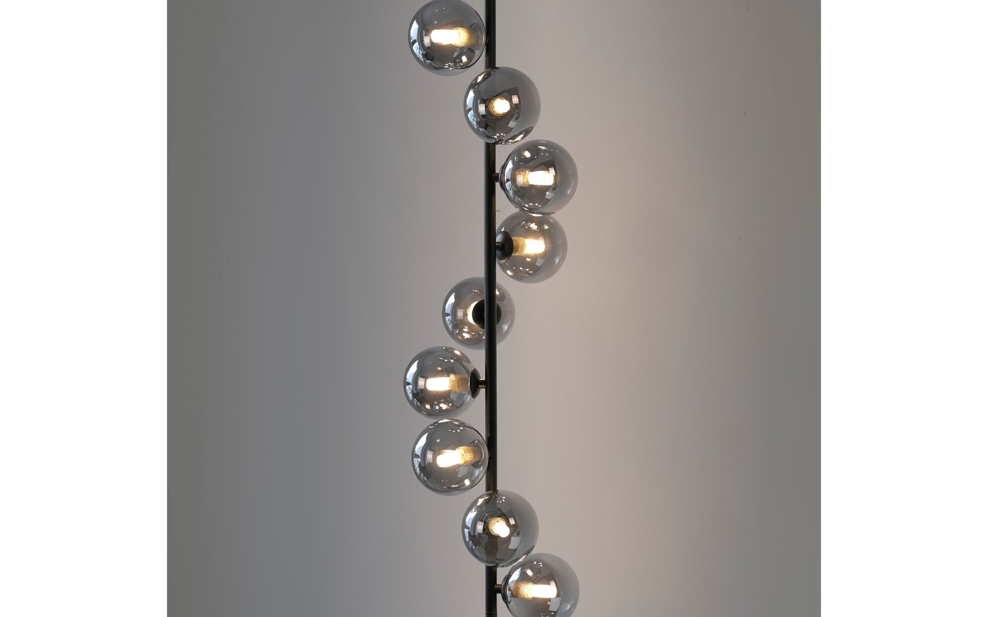 41750574 01 - Image