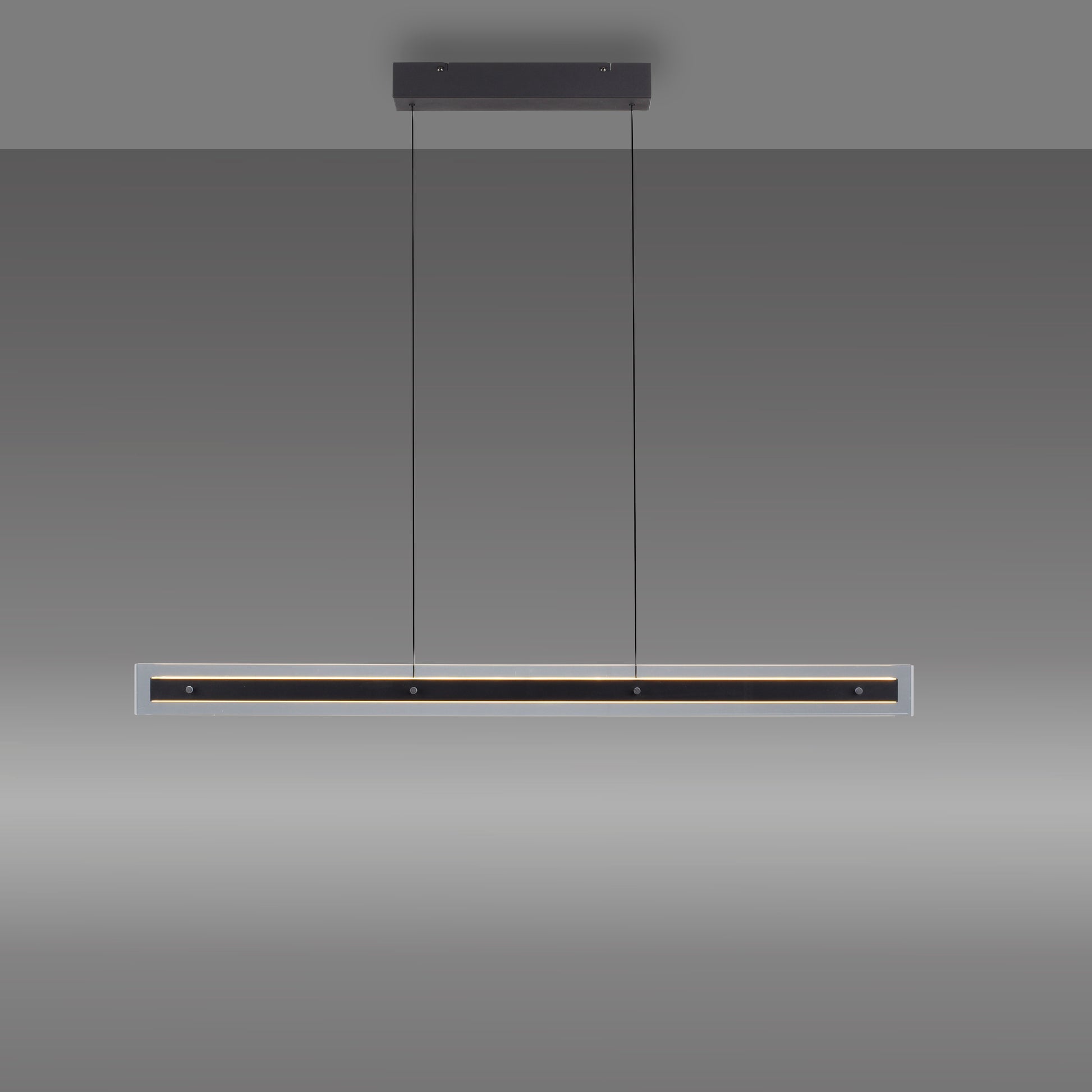 41750575 02 - Image