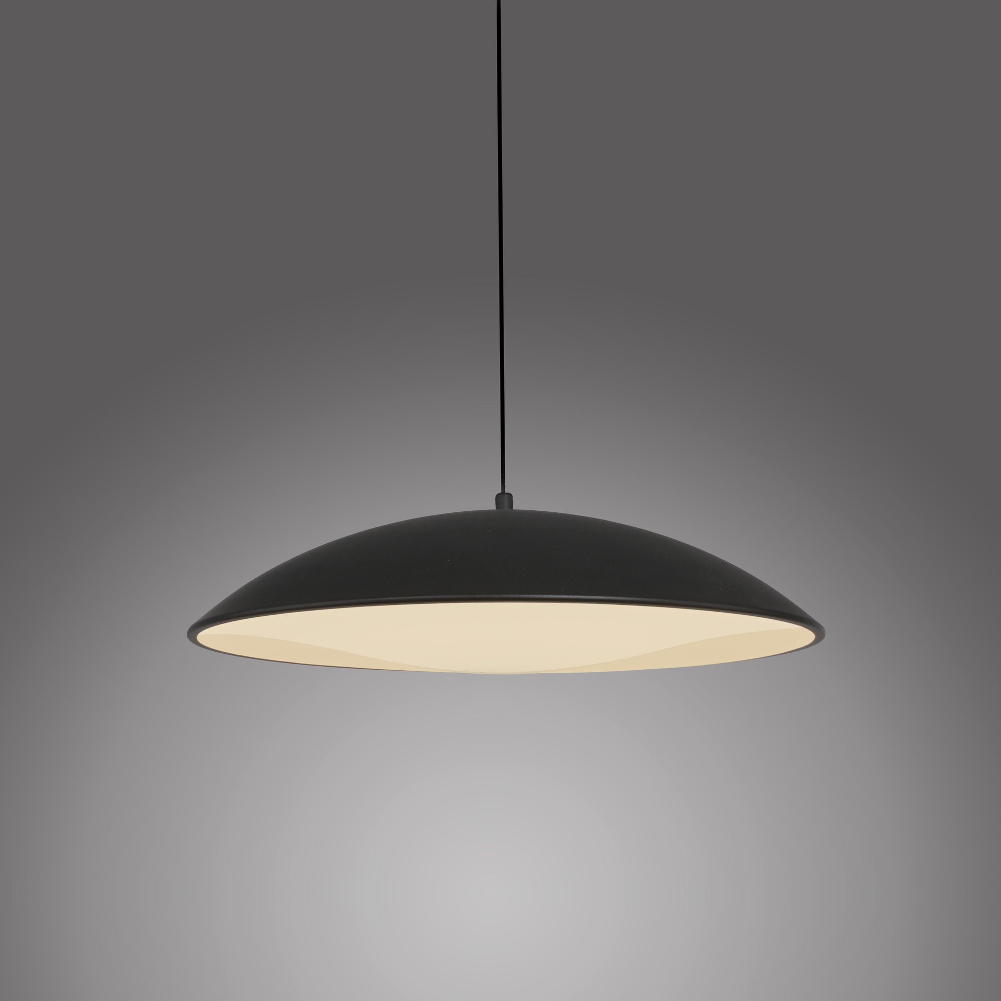 41750578 01 - Image