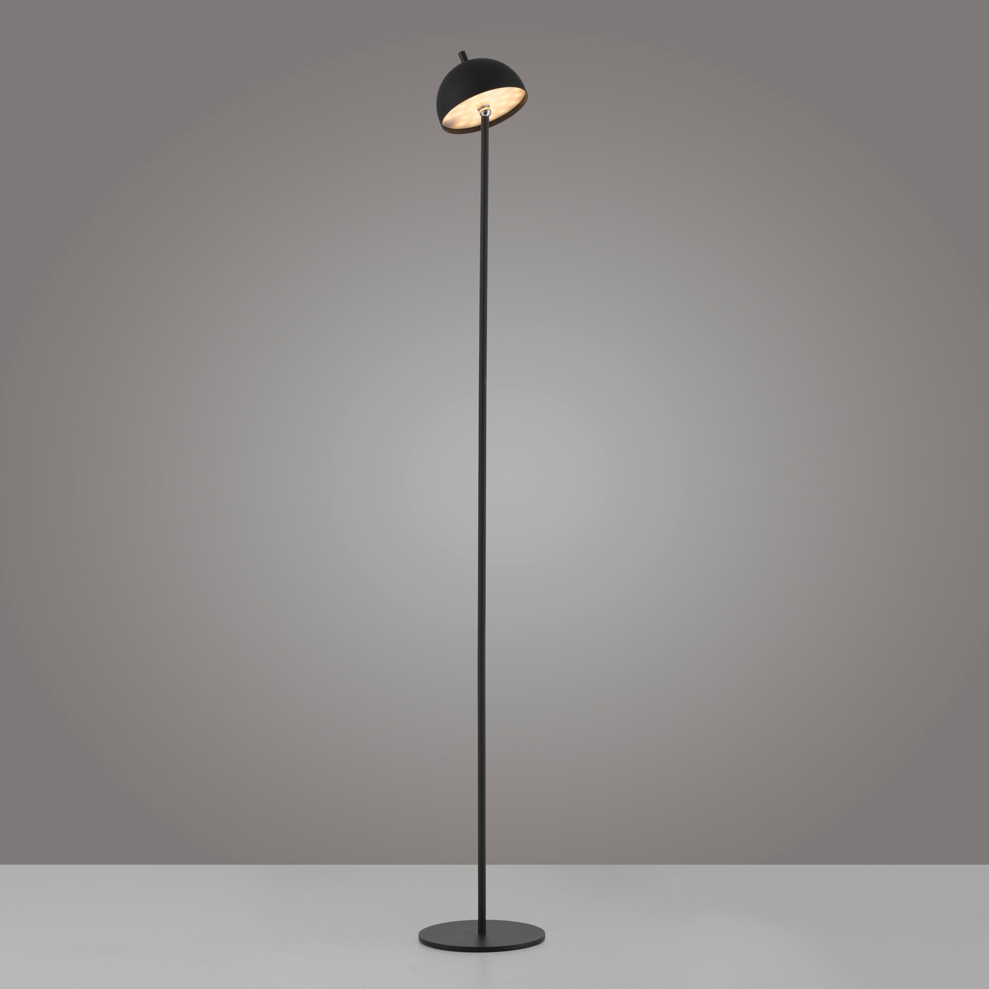 41750588 04 - Image