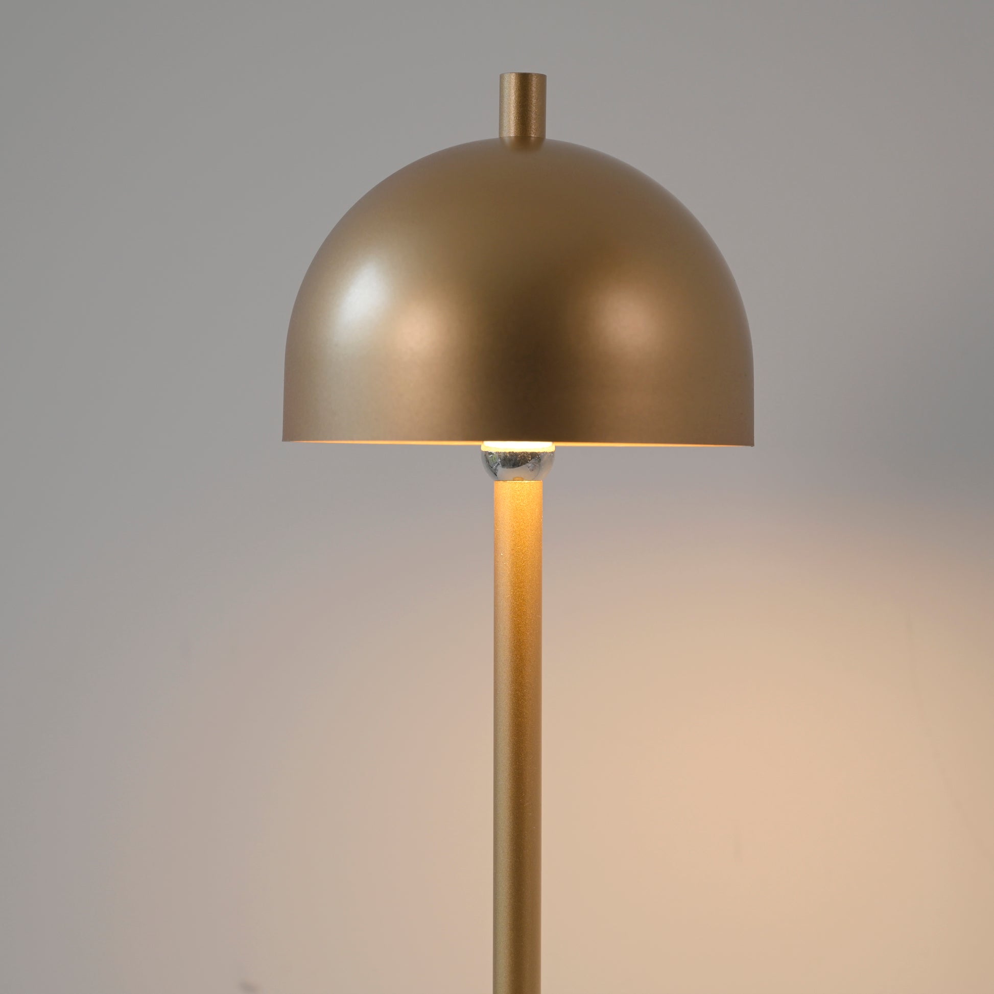 41750588 08 - Image